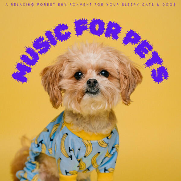 Релиз Music For Pets: A Relaxing Forest Environment For Your Sleepy Cats & Dogs
