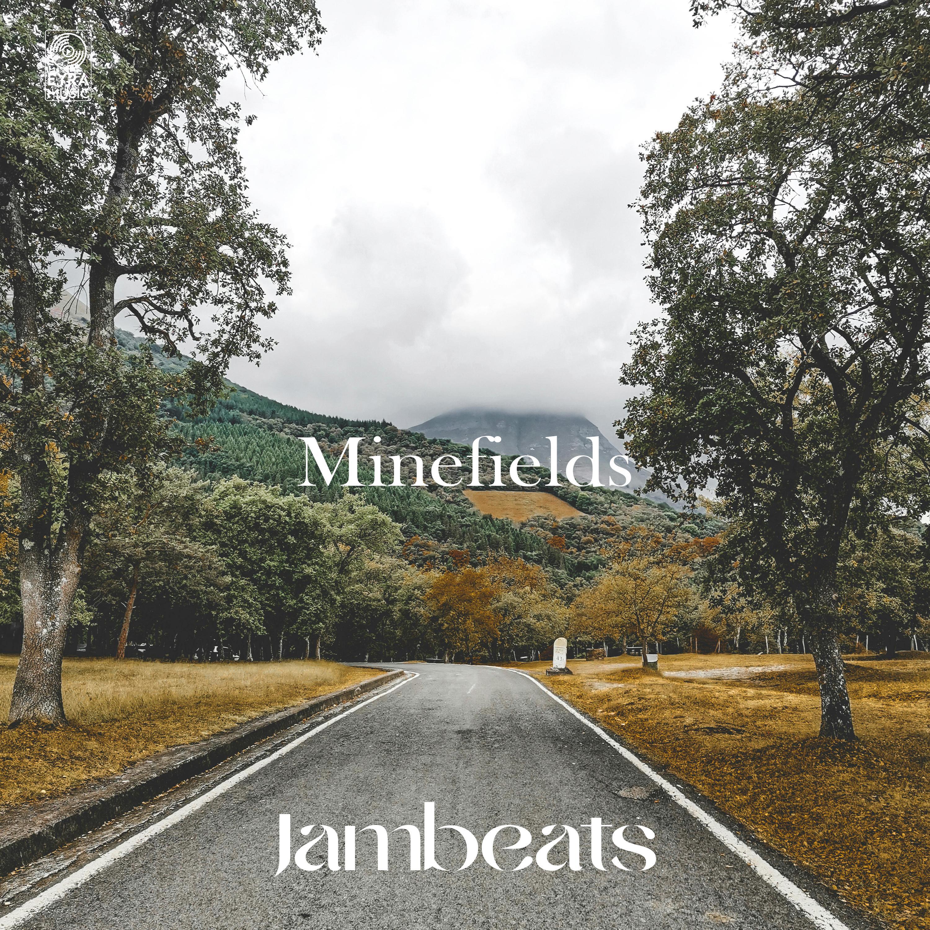 Релиз Minefields