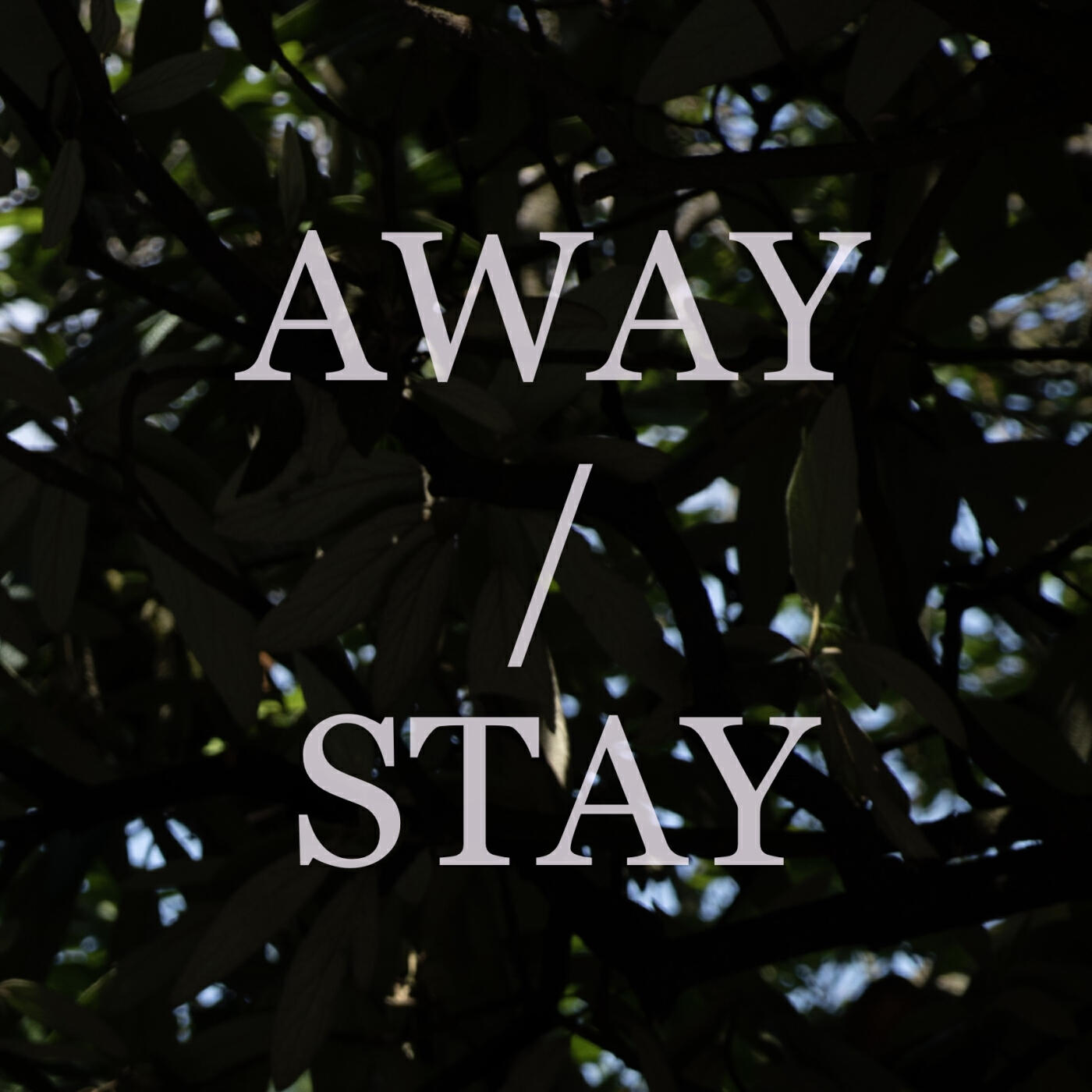 Релиз Away / Stay