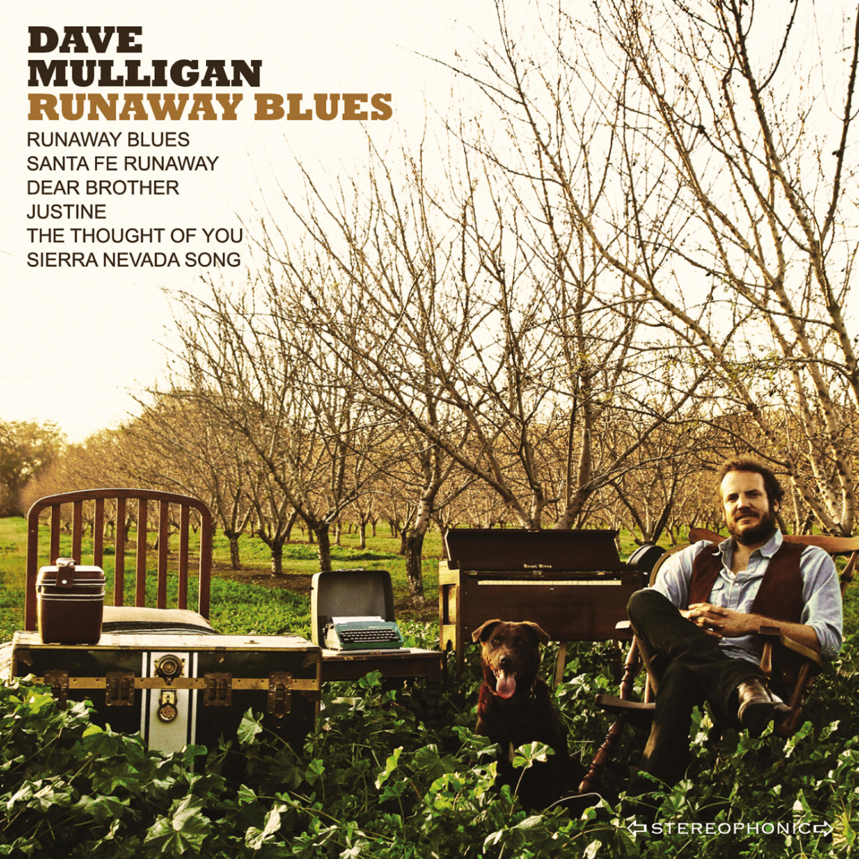 Dave Mulligan