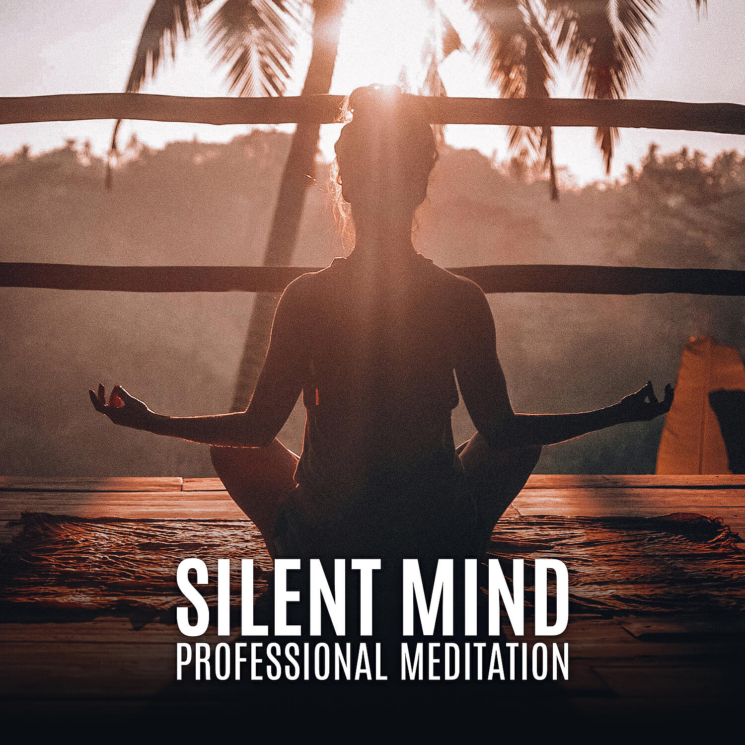 Релиз Silent Mind - Professional Meditation