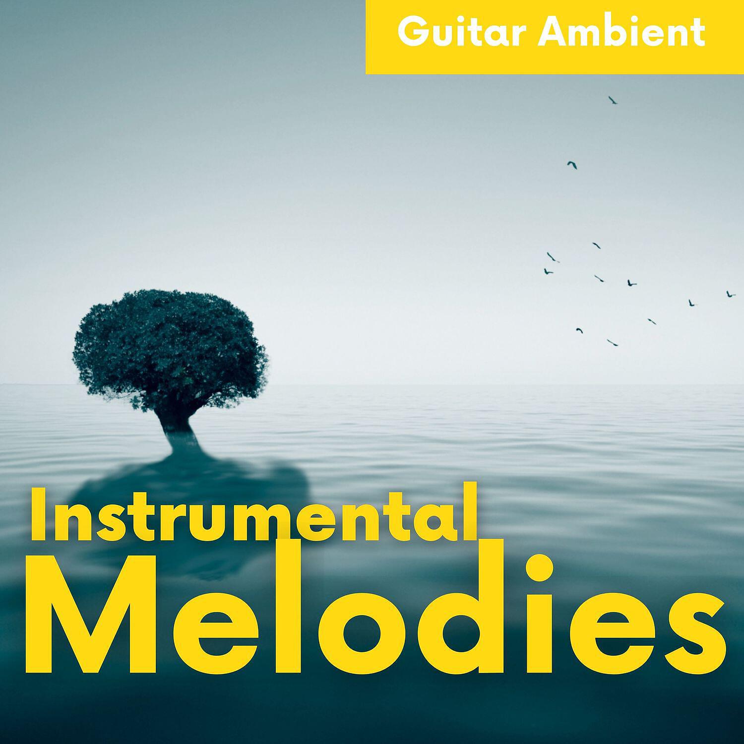 Релиз Instrumental Melodies