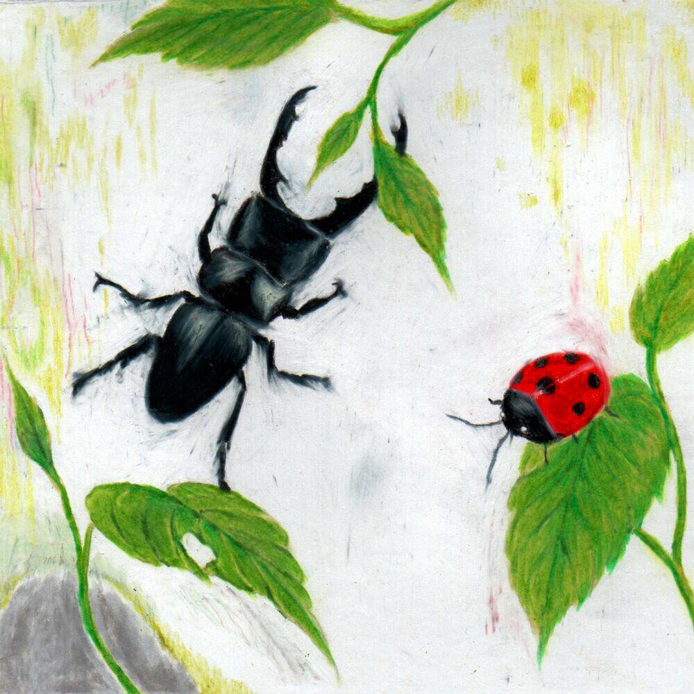 Релиз Naturous Album