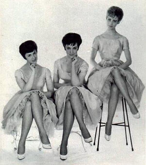 The Vernons Girls