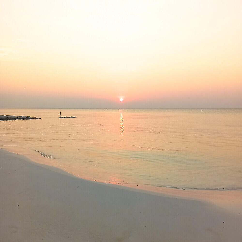 Релиз Lo mío es la playa