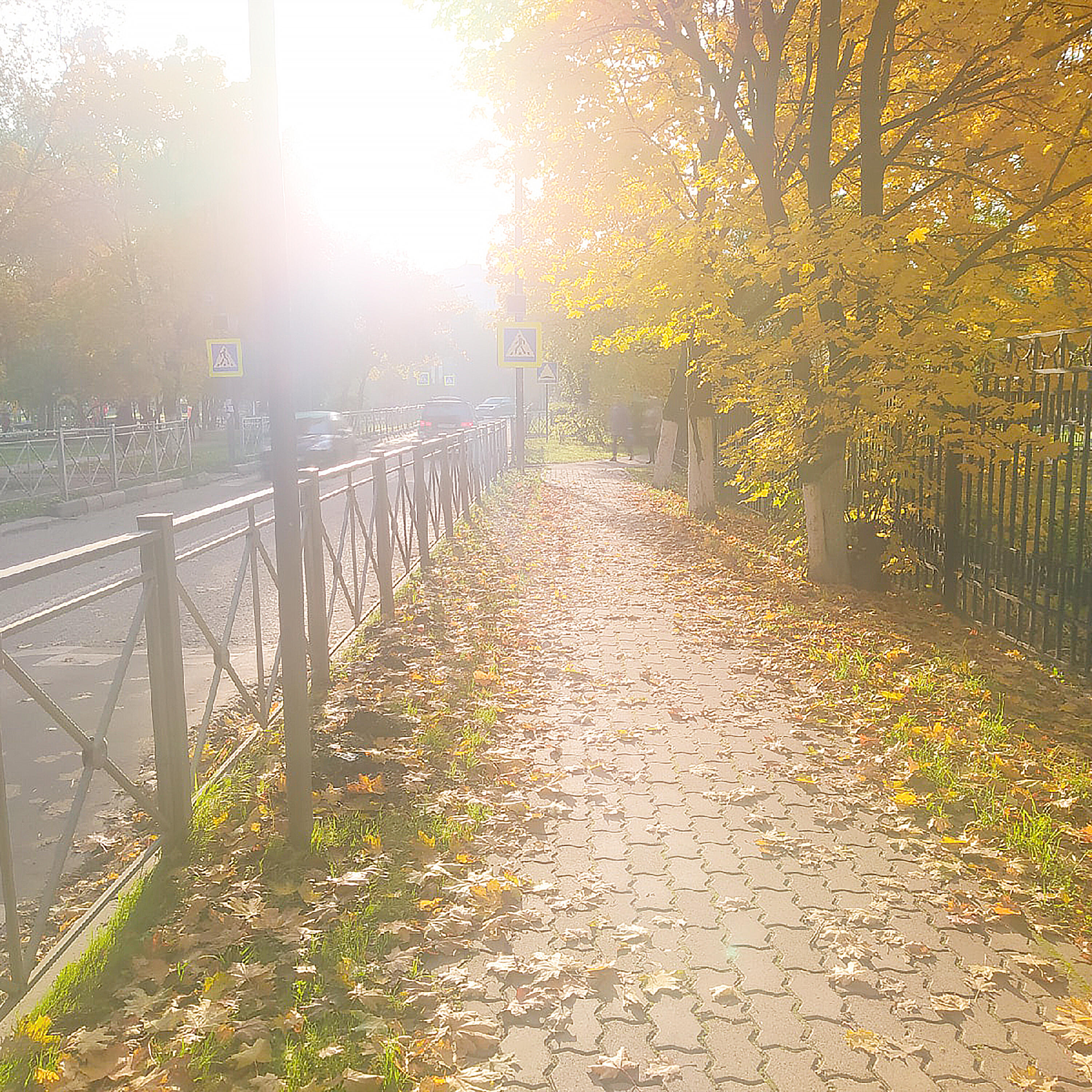 Релиз Fall
