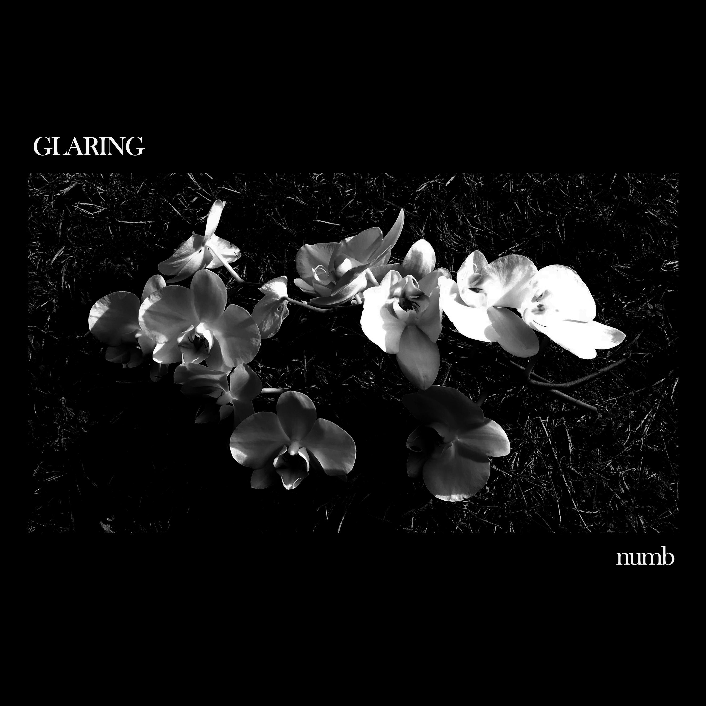 Релиз Numb