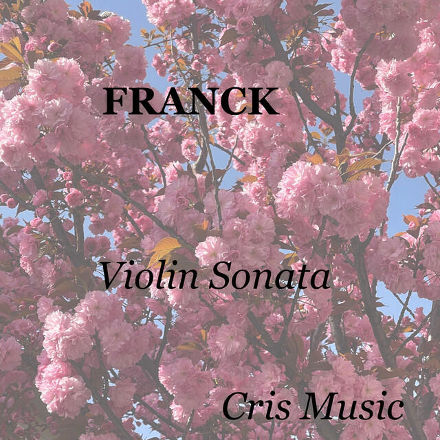 Постер альбома Franck: Violin Sonata