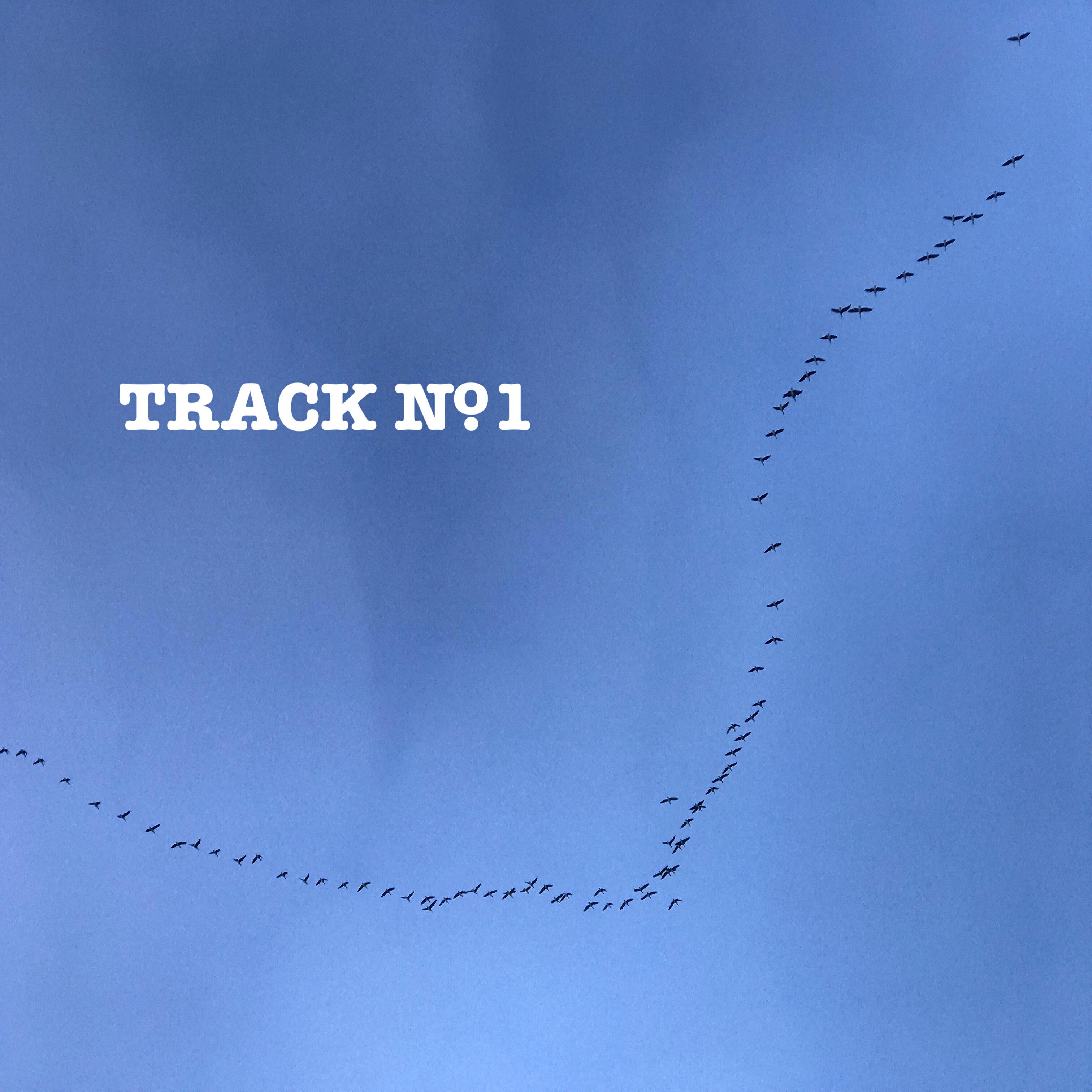 Постер альбома Track №1