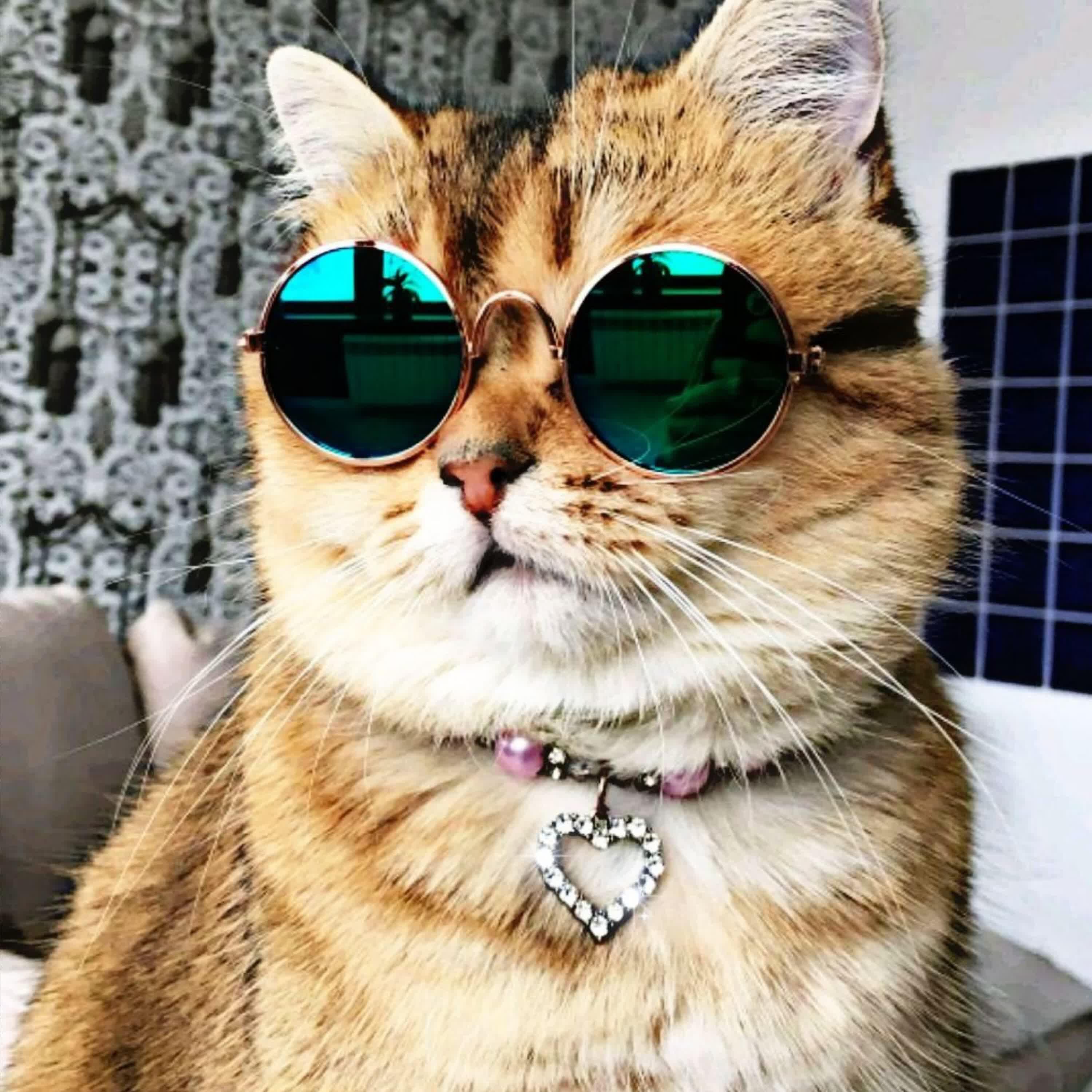 Релиз Пачка