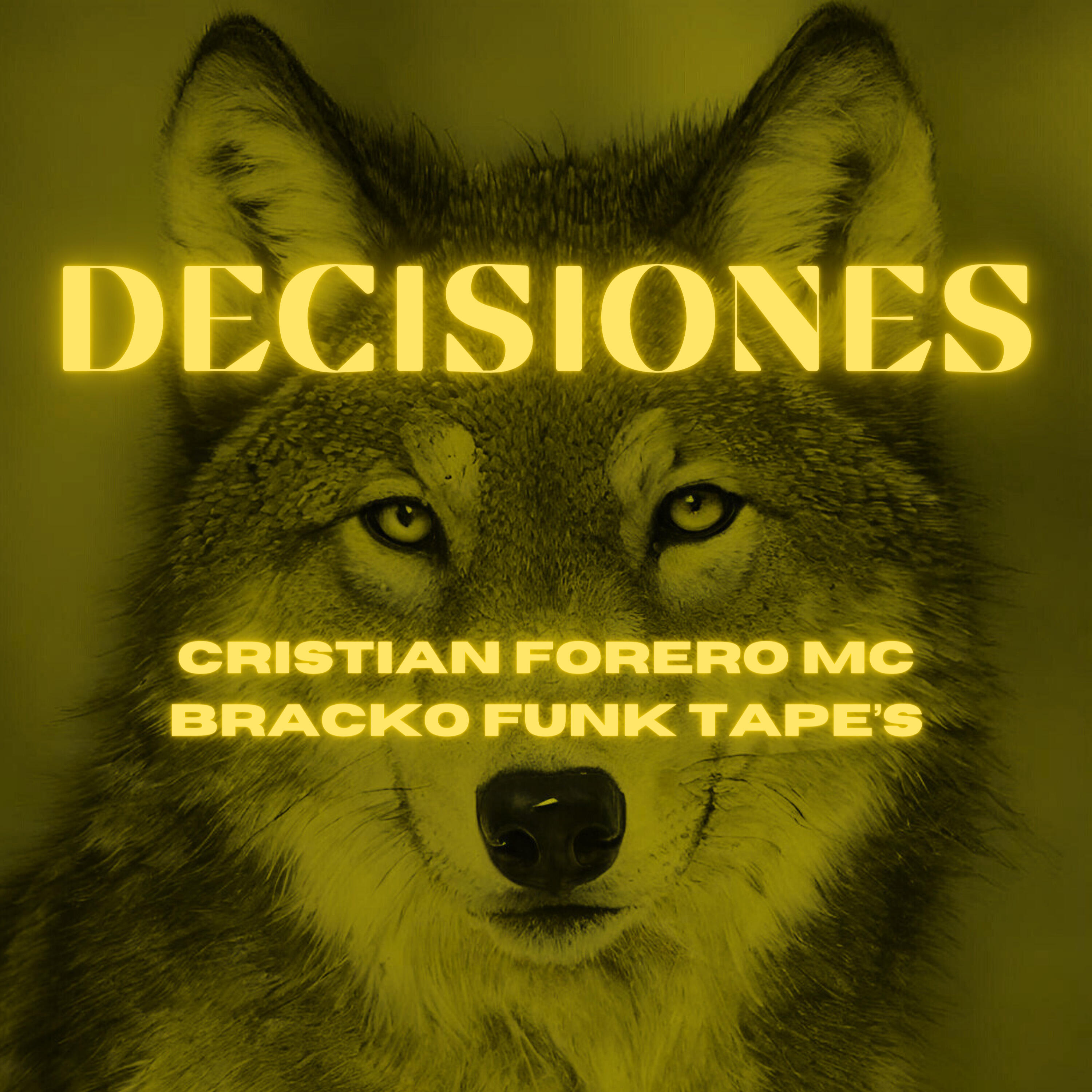Релиз Decisiones