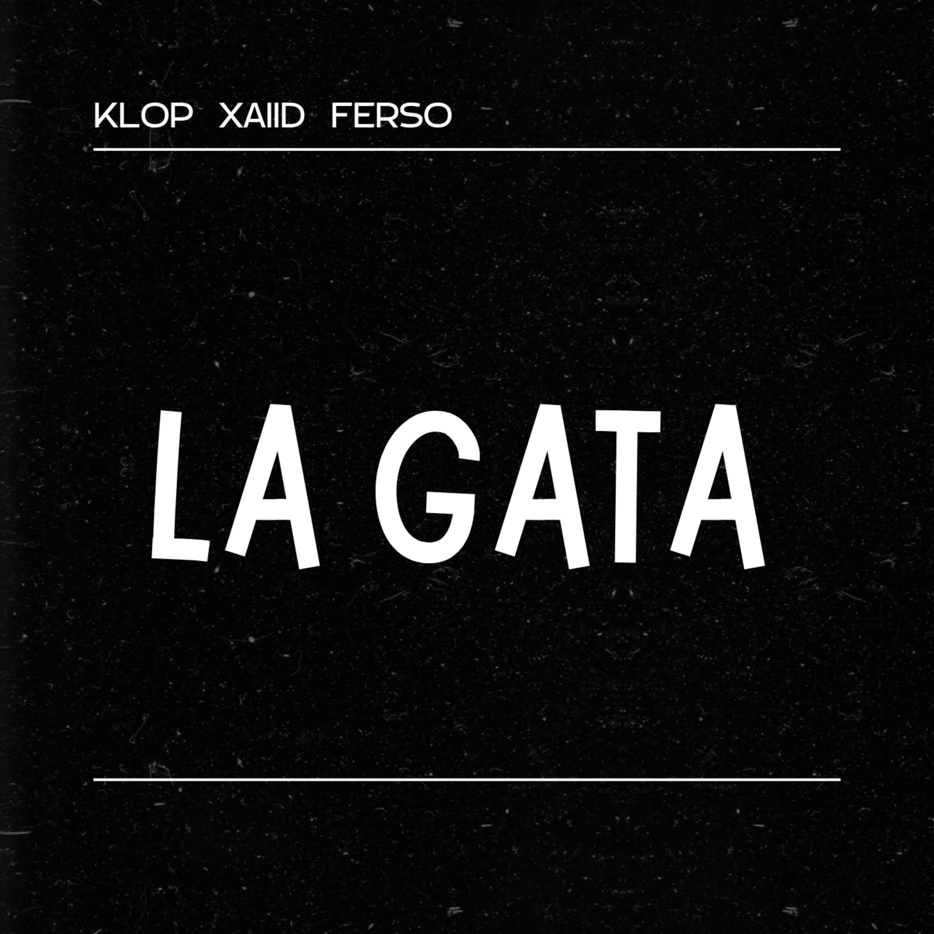 Релиз La Gata