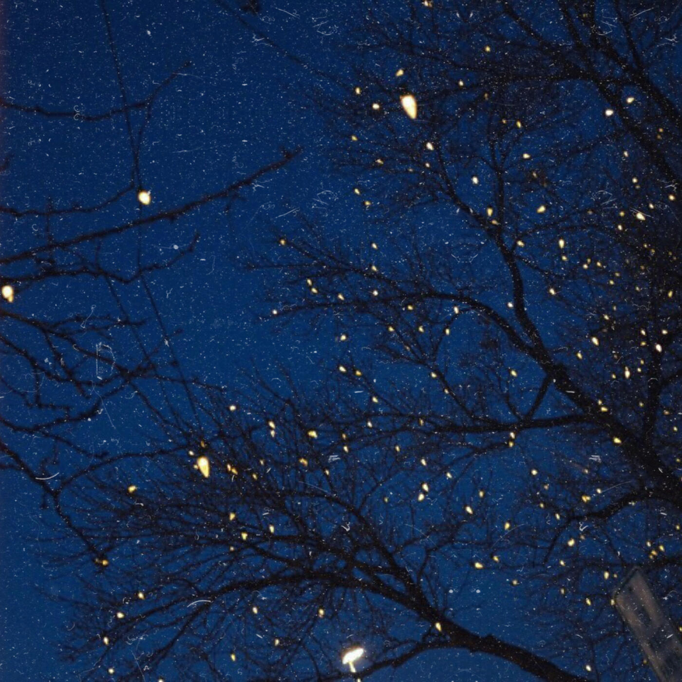 Релиз Fireflies