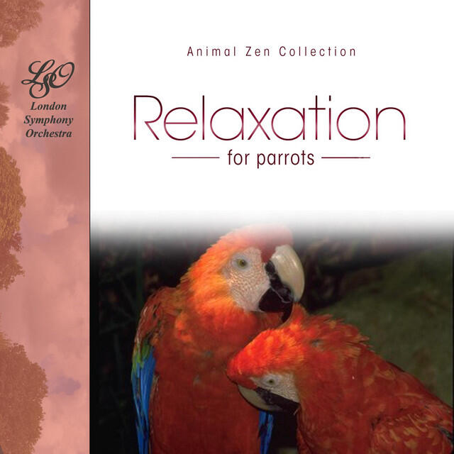 Релиз Relaxation for Parrots