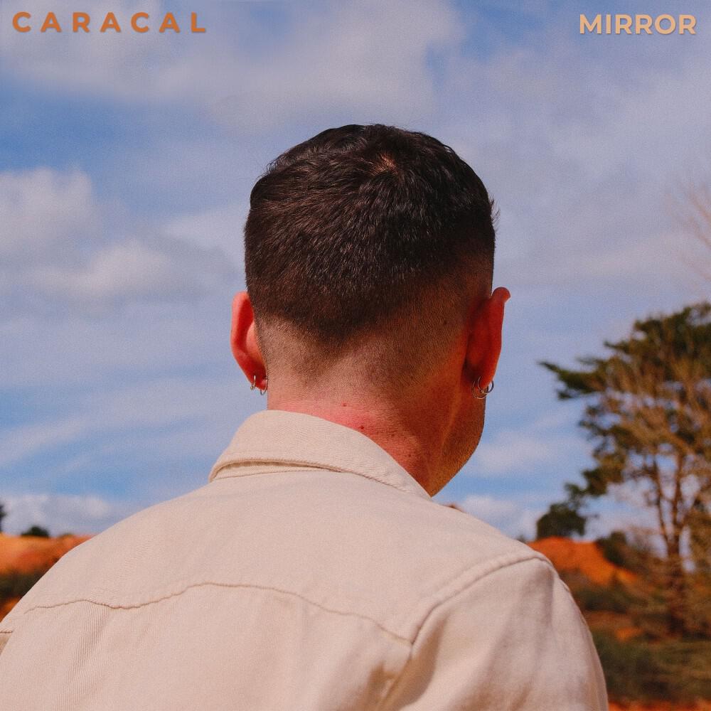 Релиз Mirror