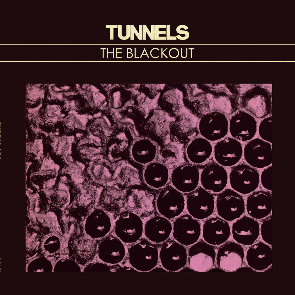 Релиз The Blackout