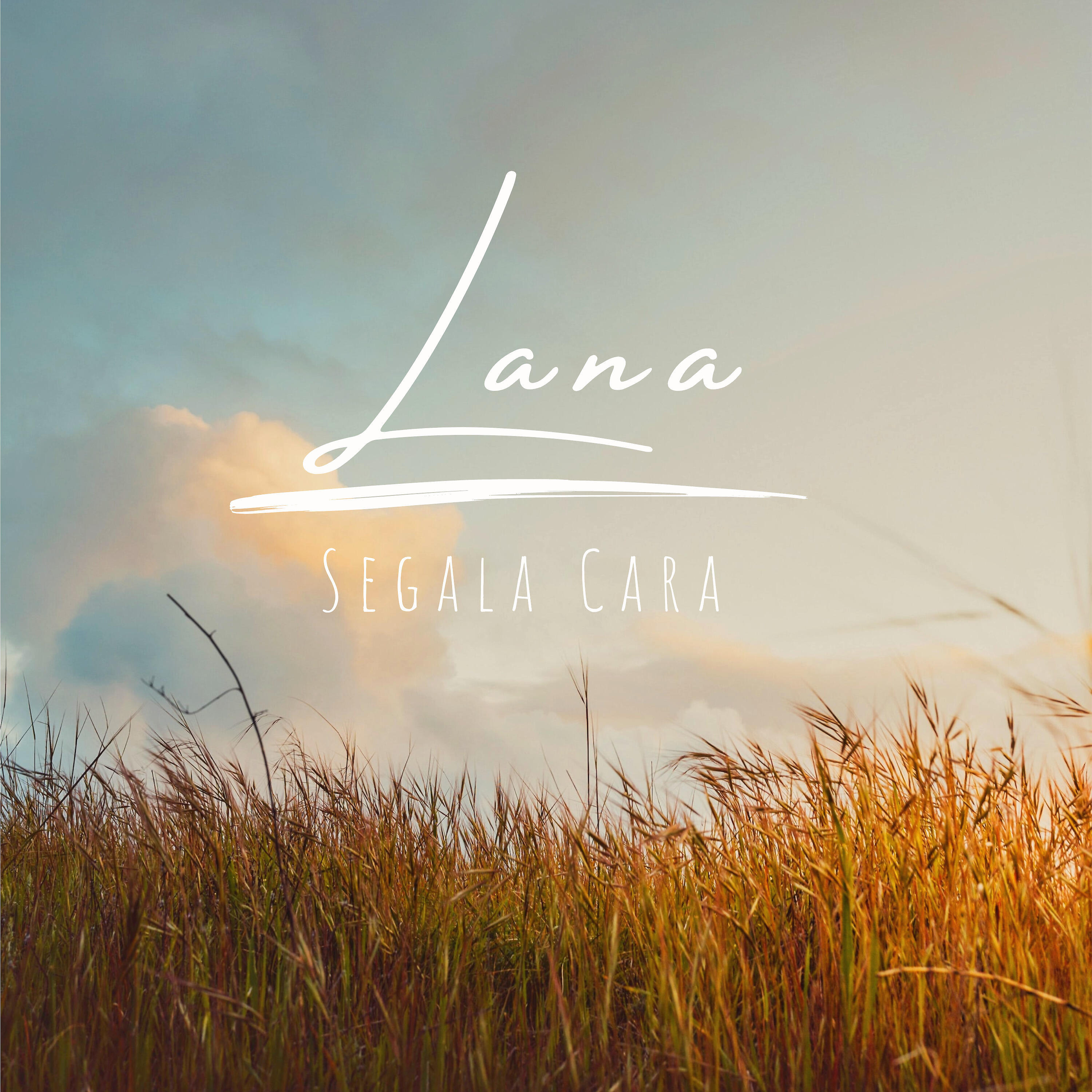 Постер альбома Segala Cara