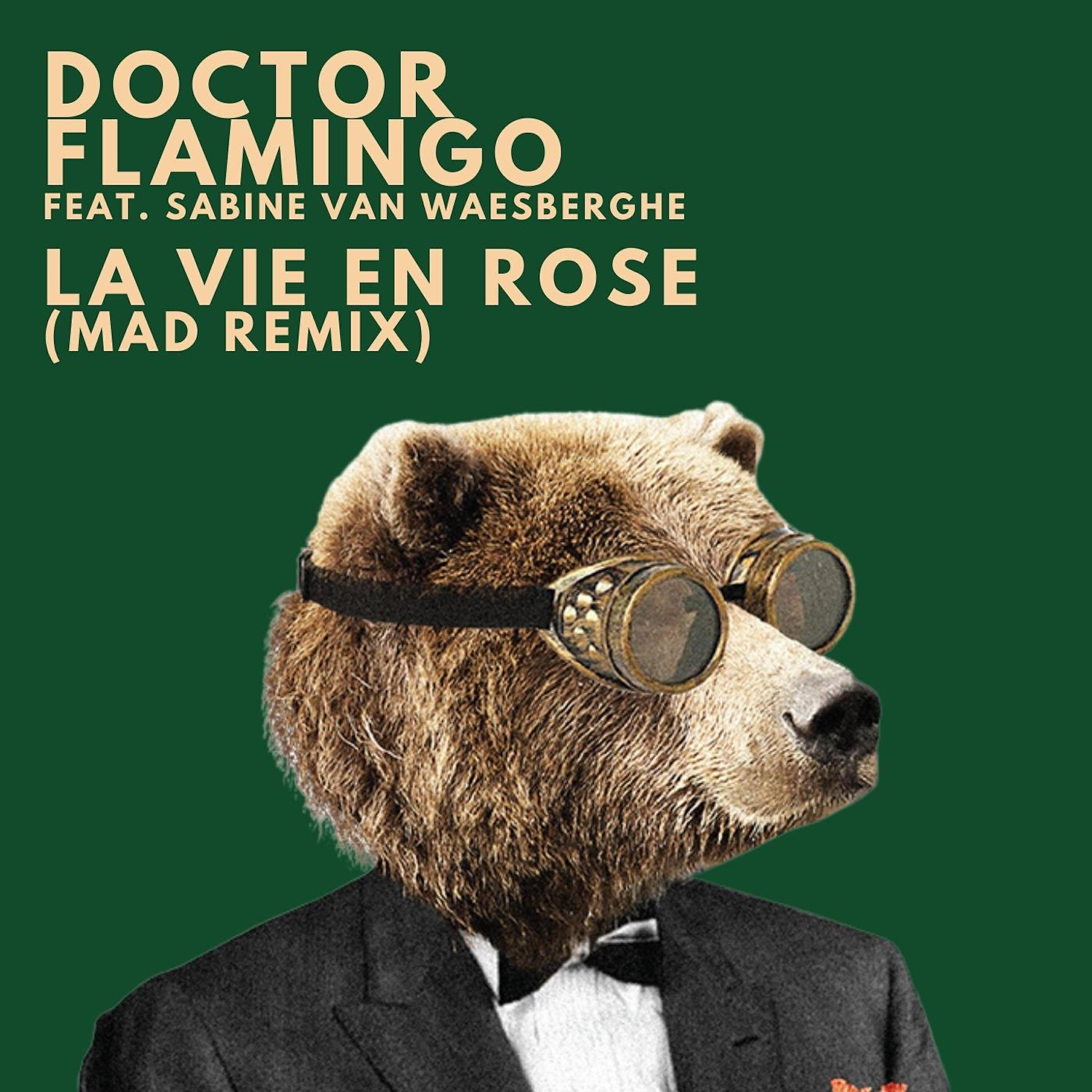 Релиз La Vie en Rose (Mad Remix)