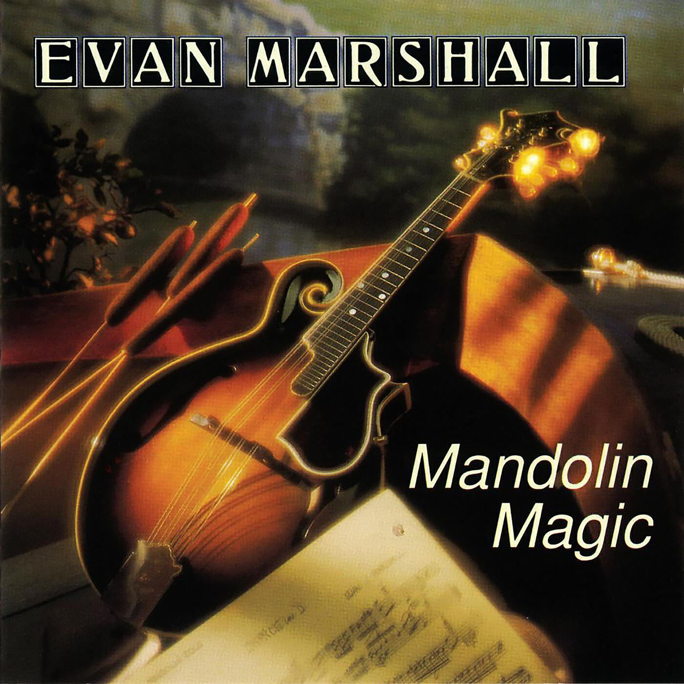 Релиз Mandolin Magic