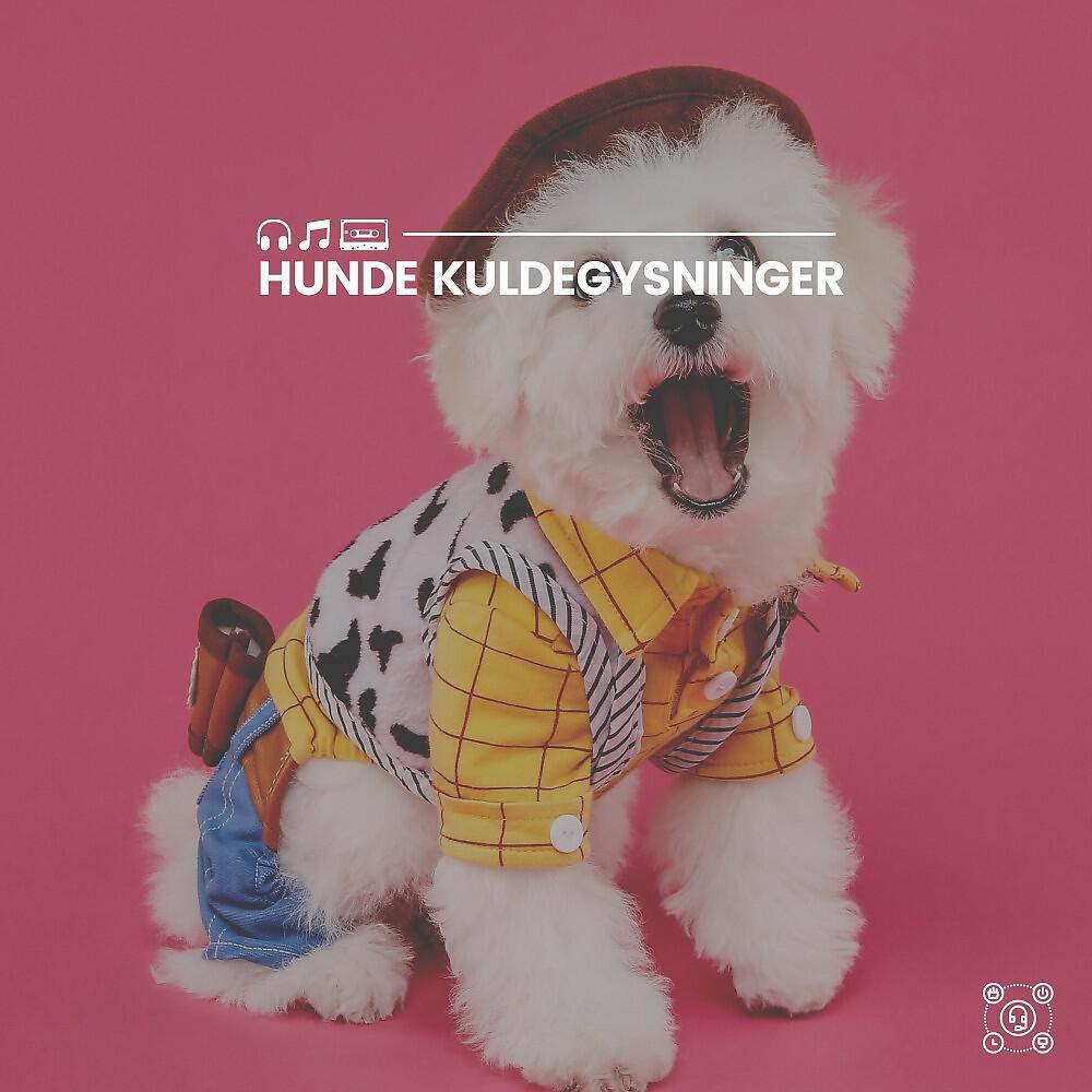 Релиз Hunde kuldegysninger