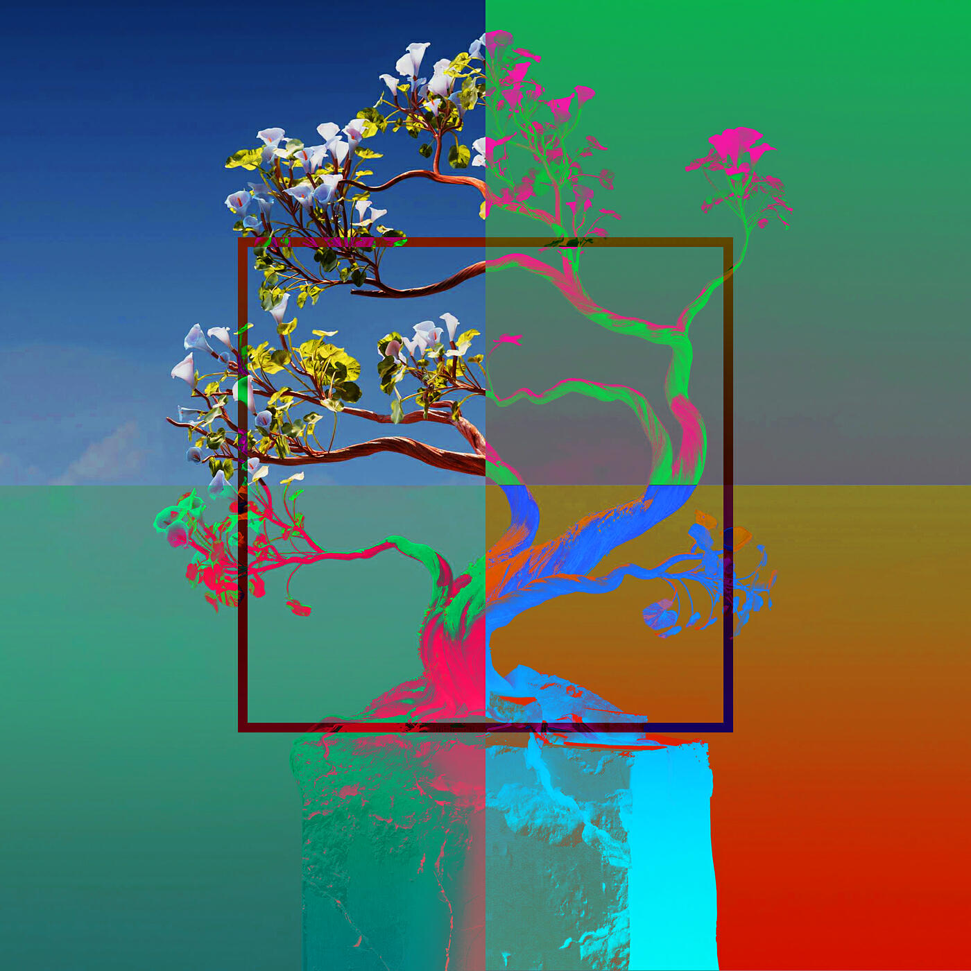 Релиз Digital Nature