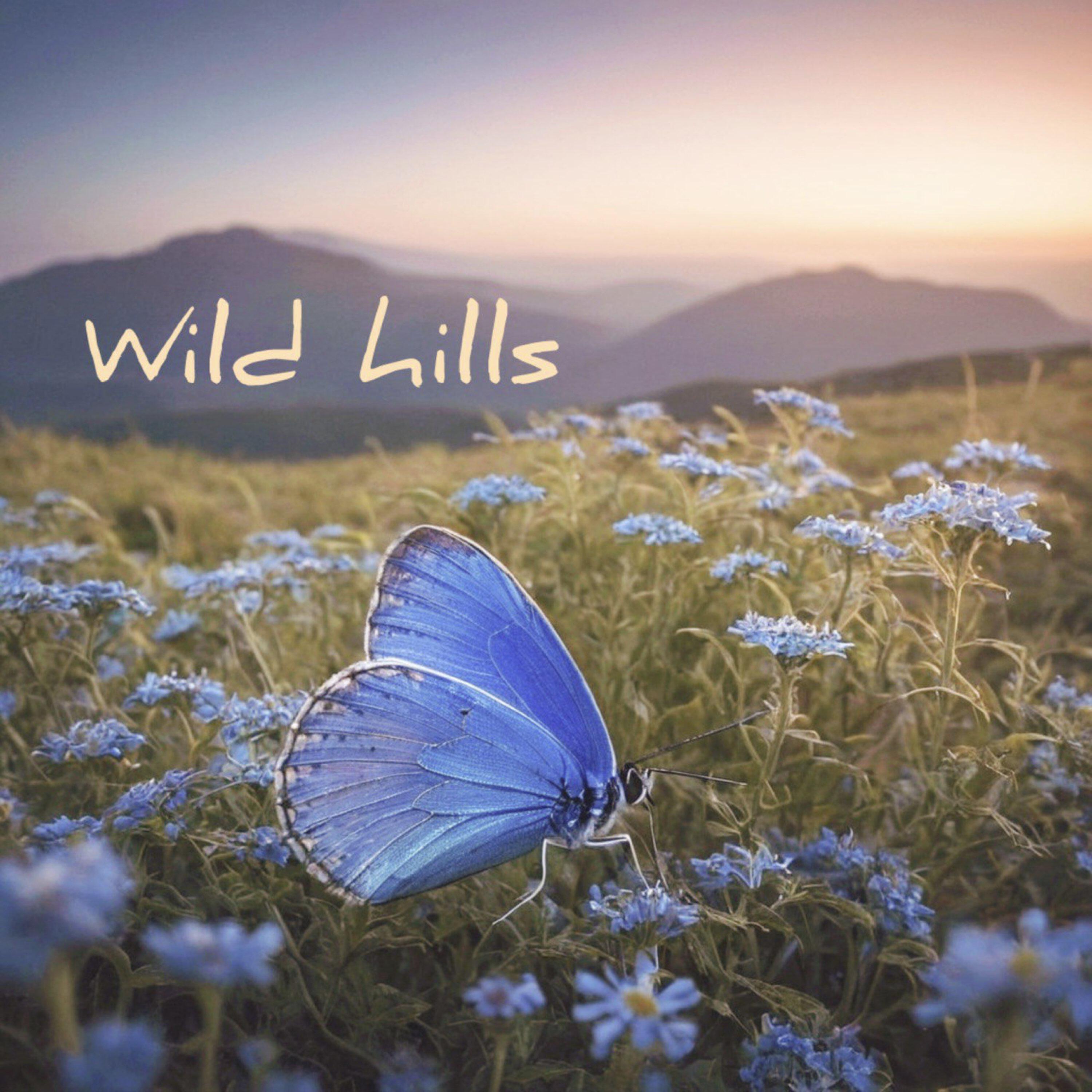 Релиз Wild Hills
