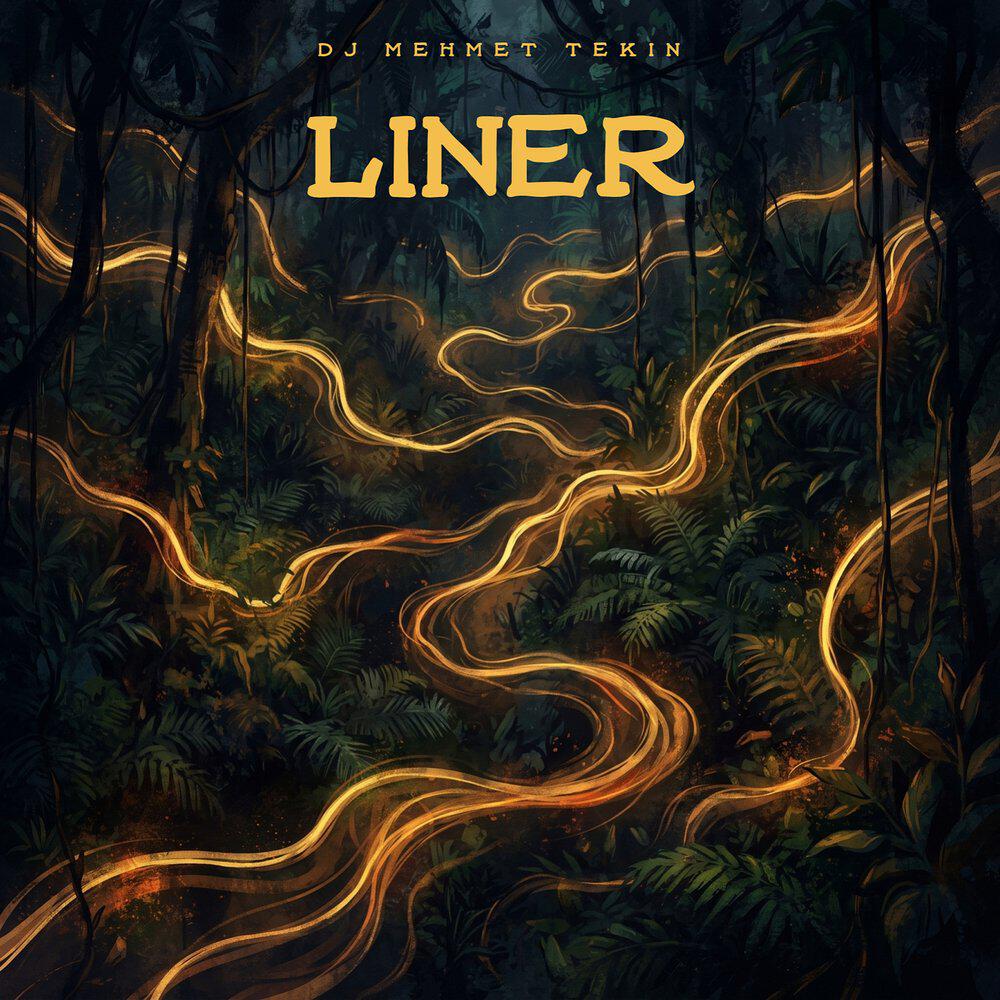 Релиз Liner