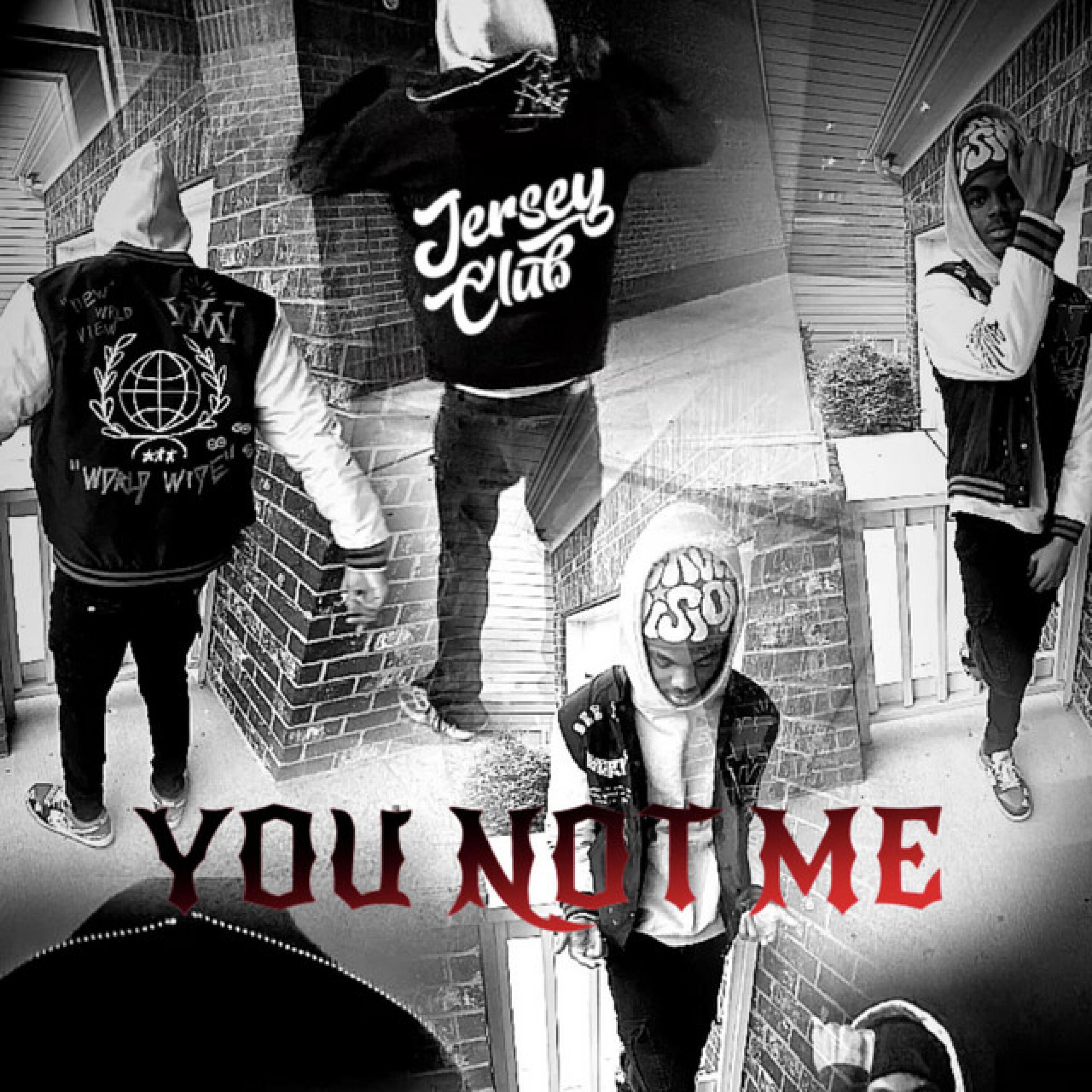 Релиз You Not Me (a birds last look)