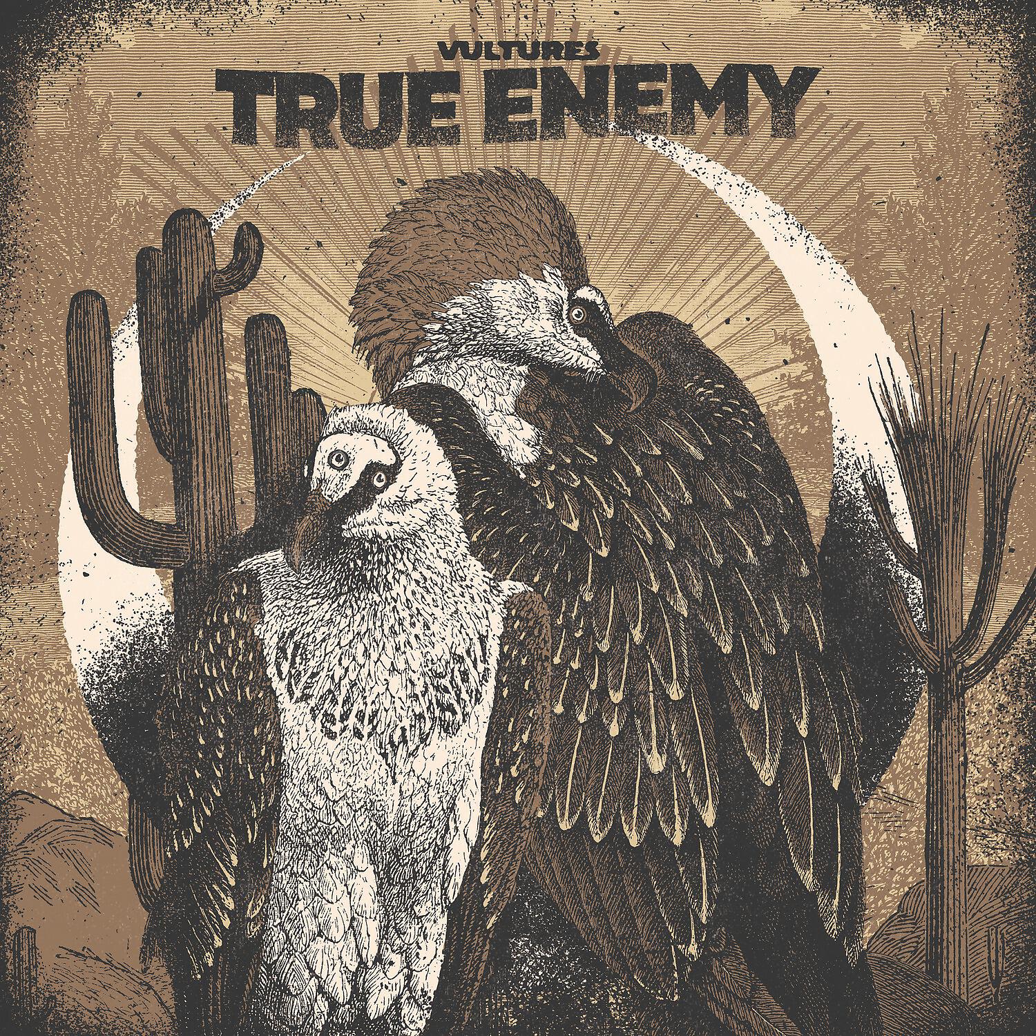 True Enemy