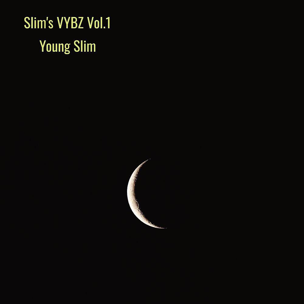 Релиз Slim's Vybz, Vol. 1
