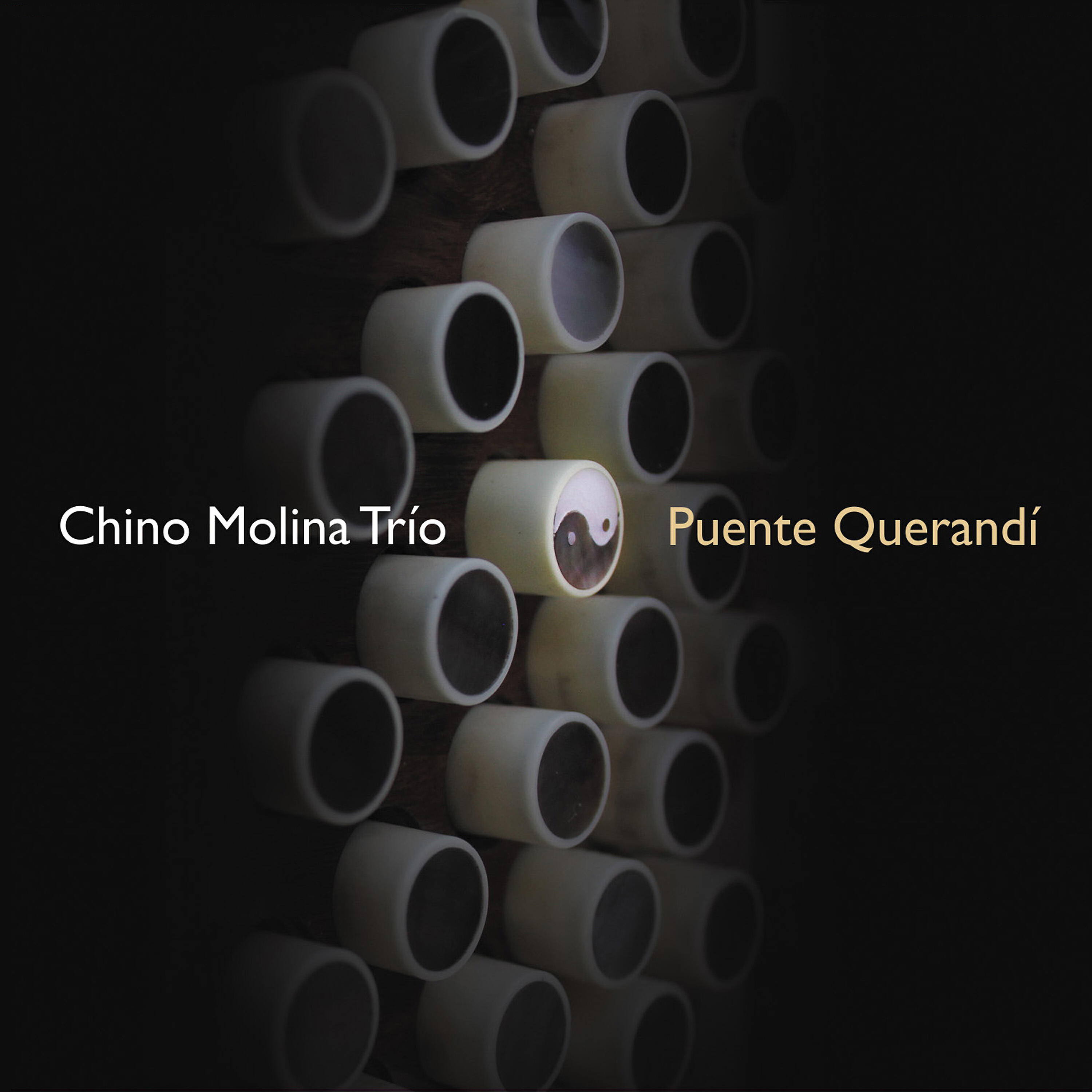 Релиз Puente Querandí