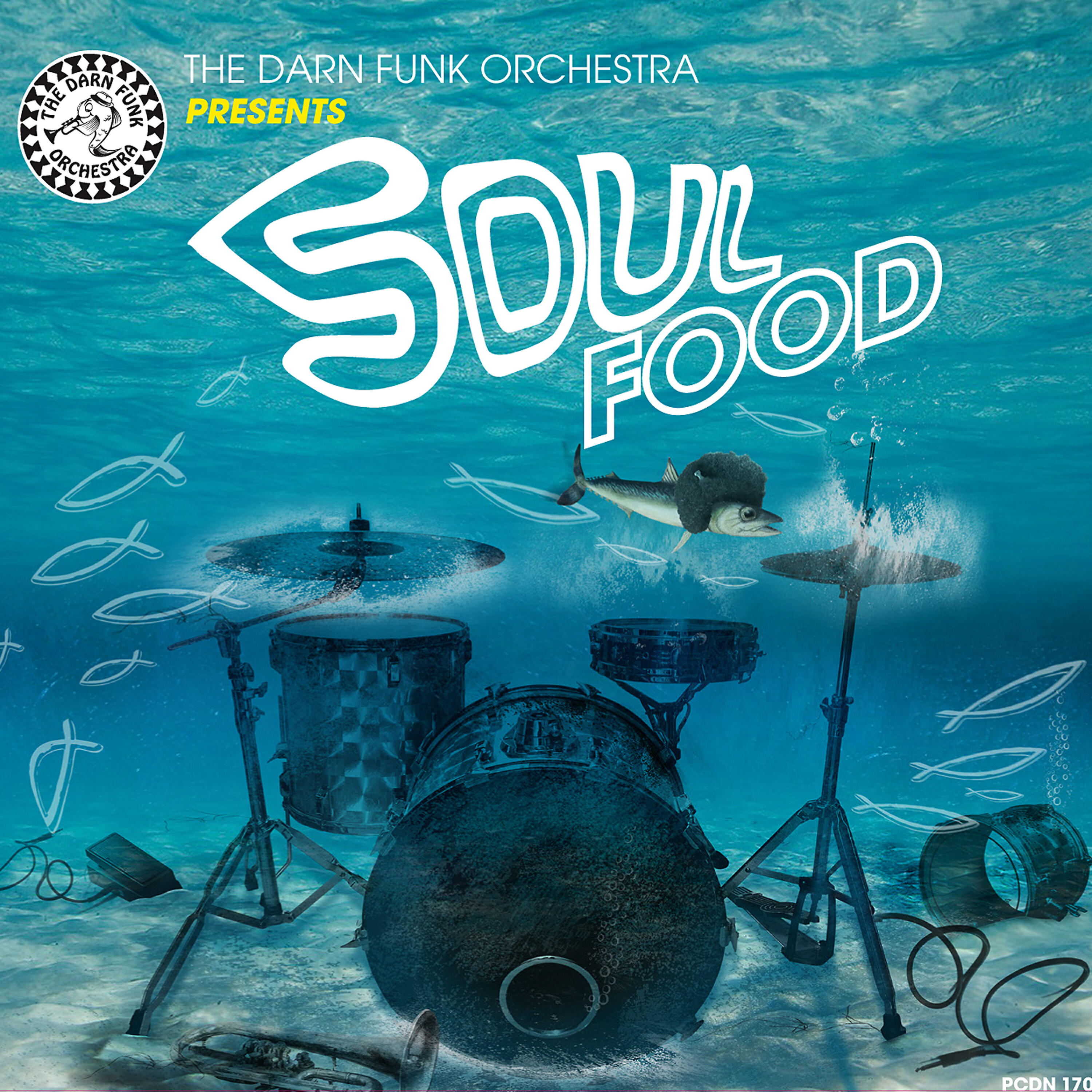 The Darn Funk Orchestra