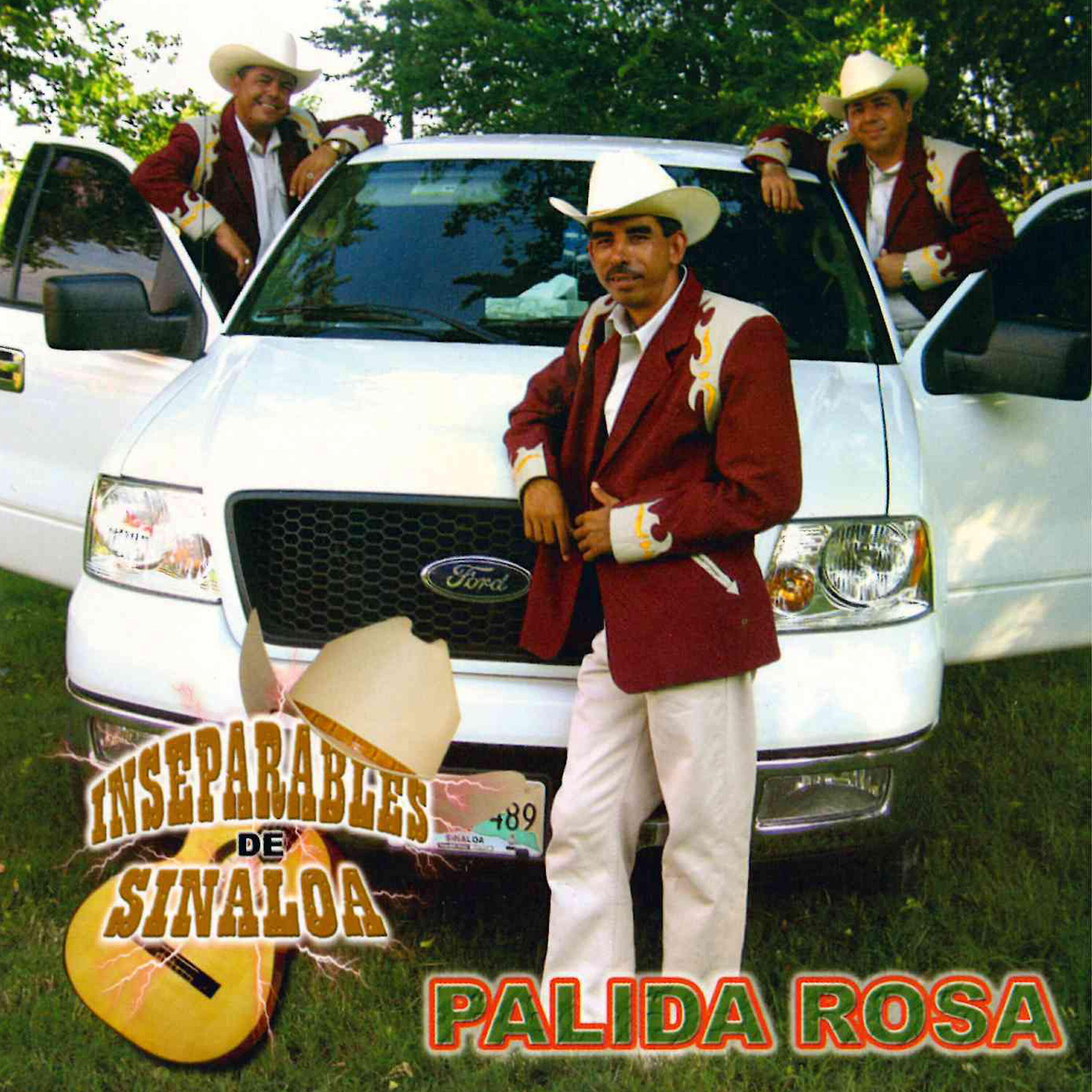 Релиз Palida Rosa