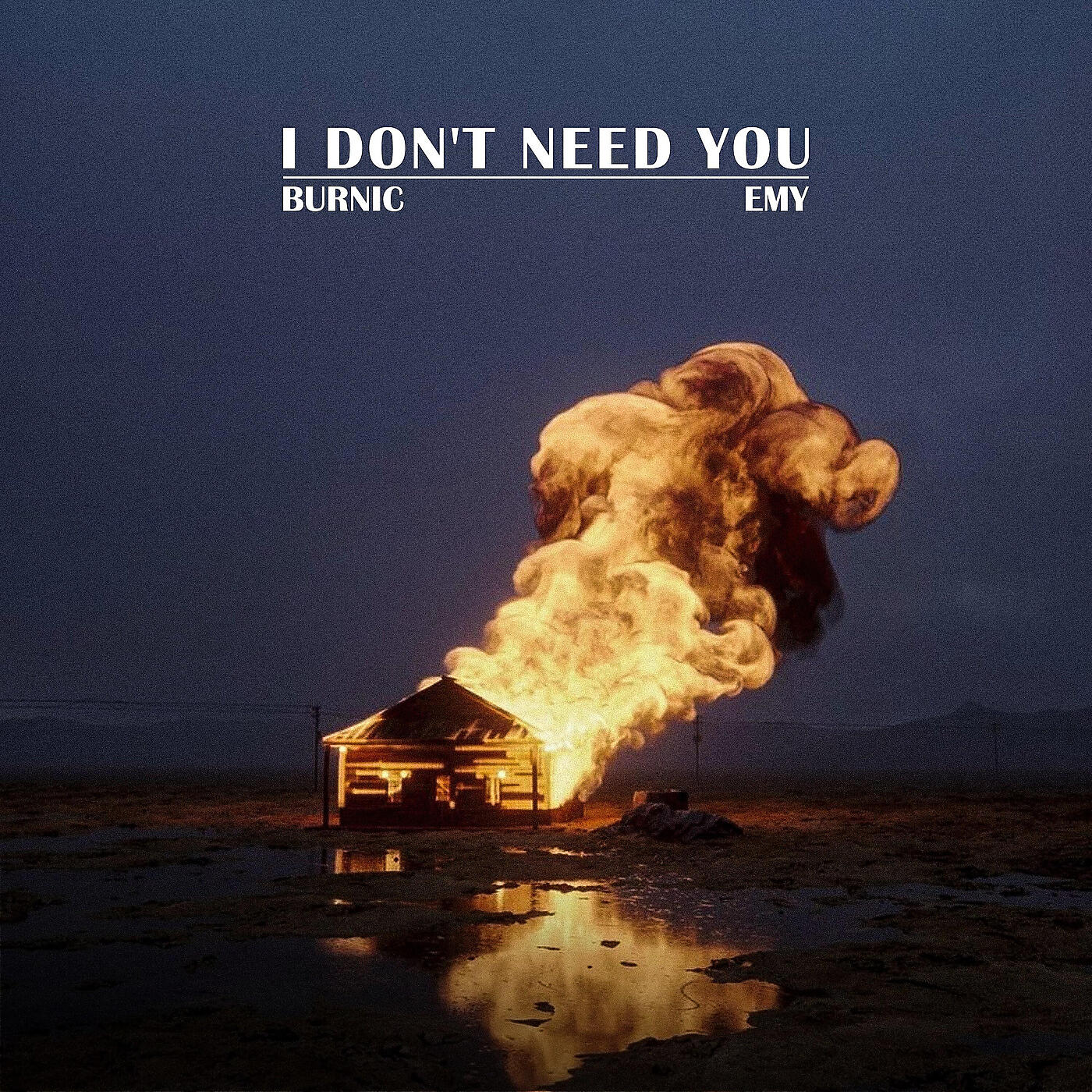 Релиз I Don't Need You