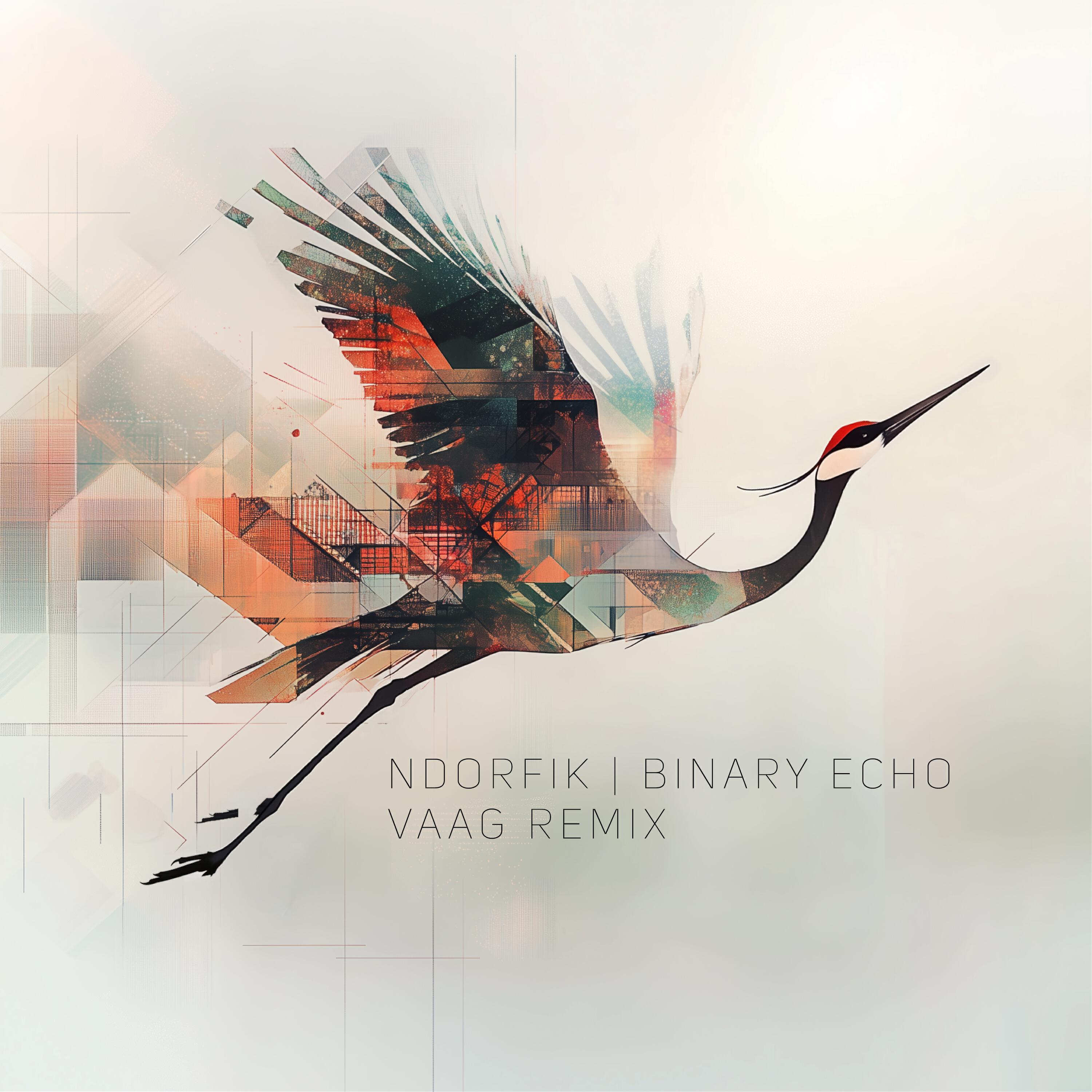 Релиз Binary Echo