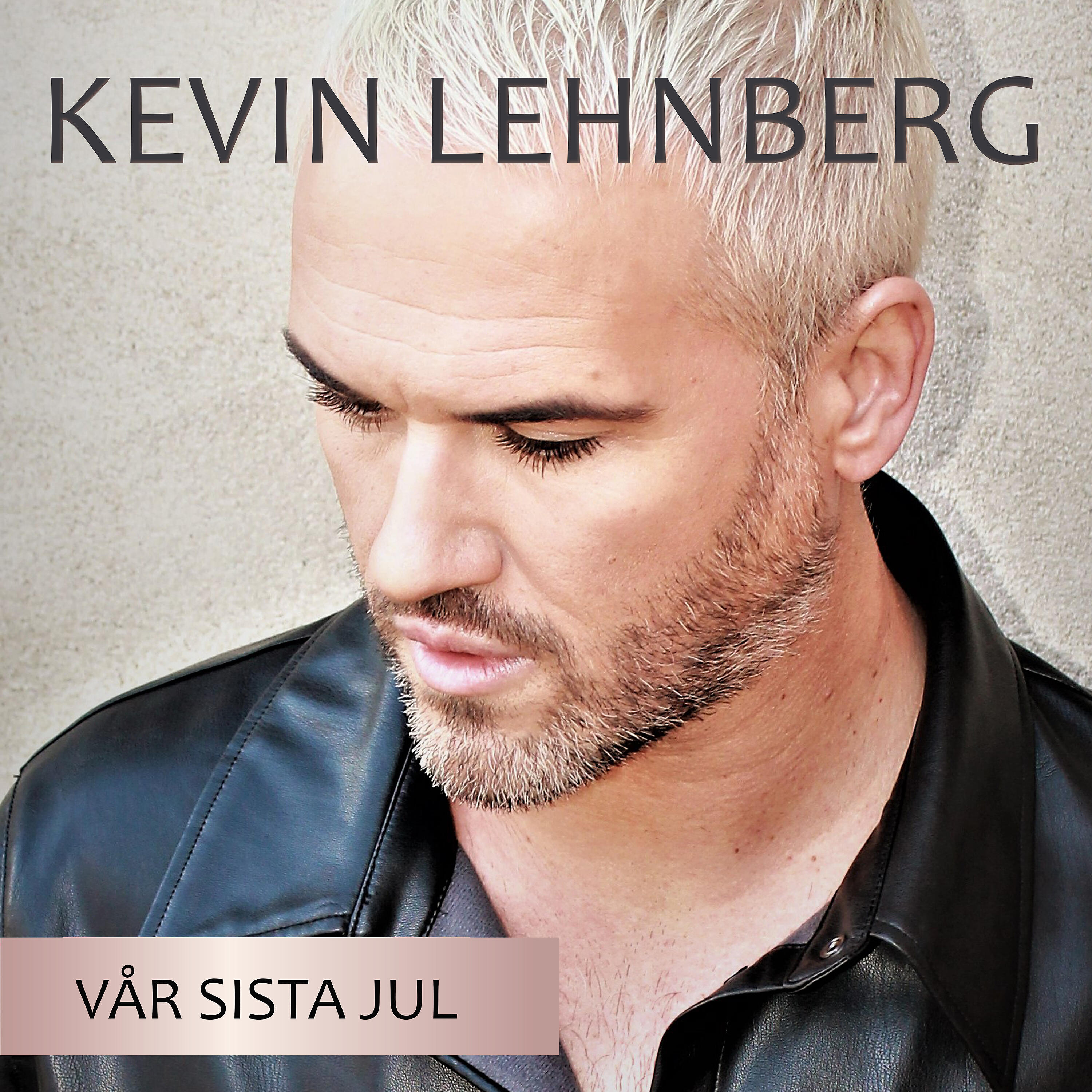 Релиз Vår sista jul