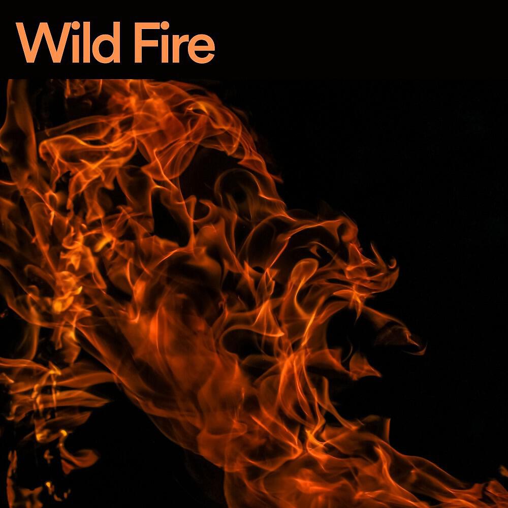 Релиз Wild Fire