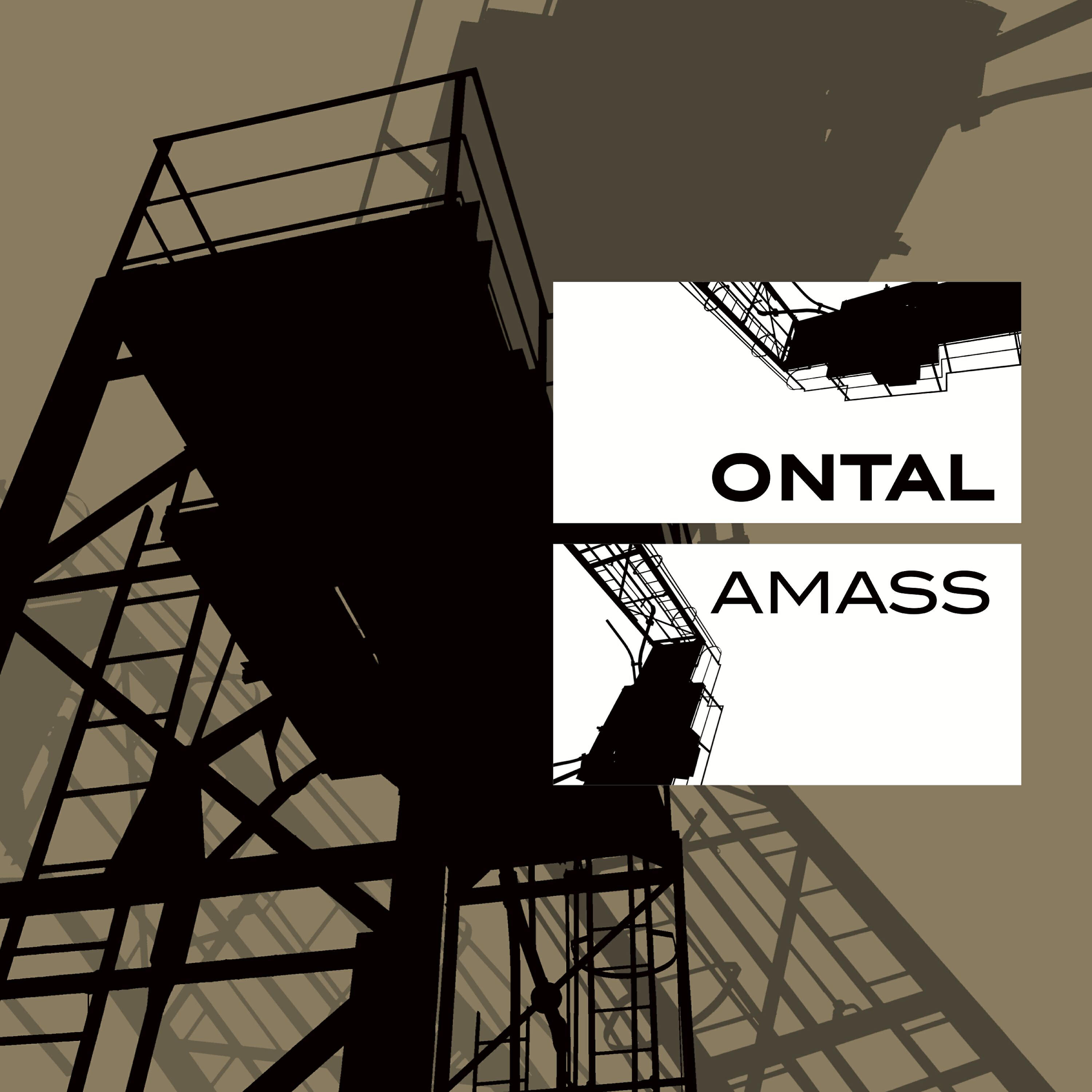 Релиз Amass
