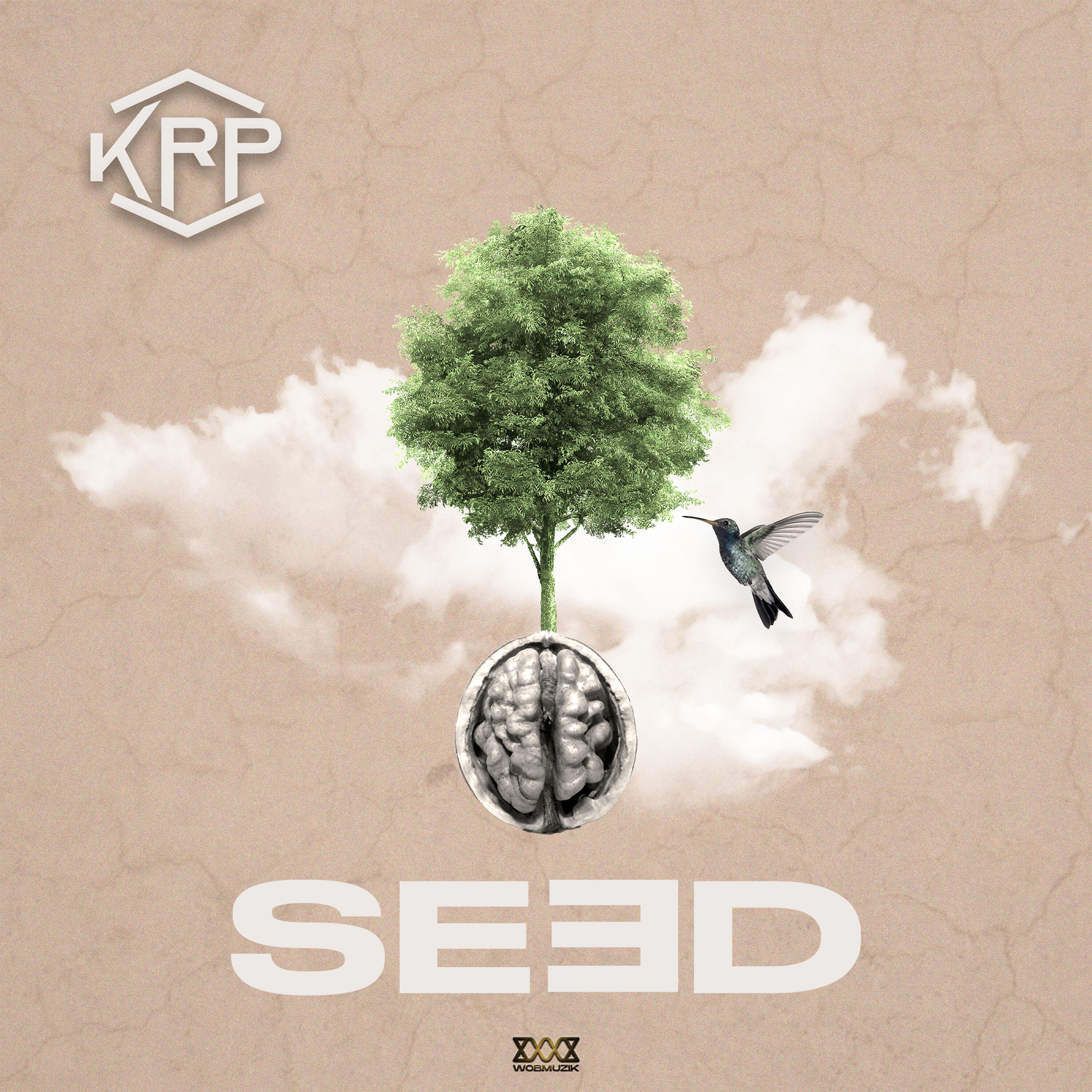 Постер альбома Seed