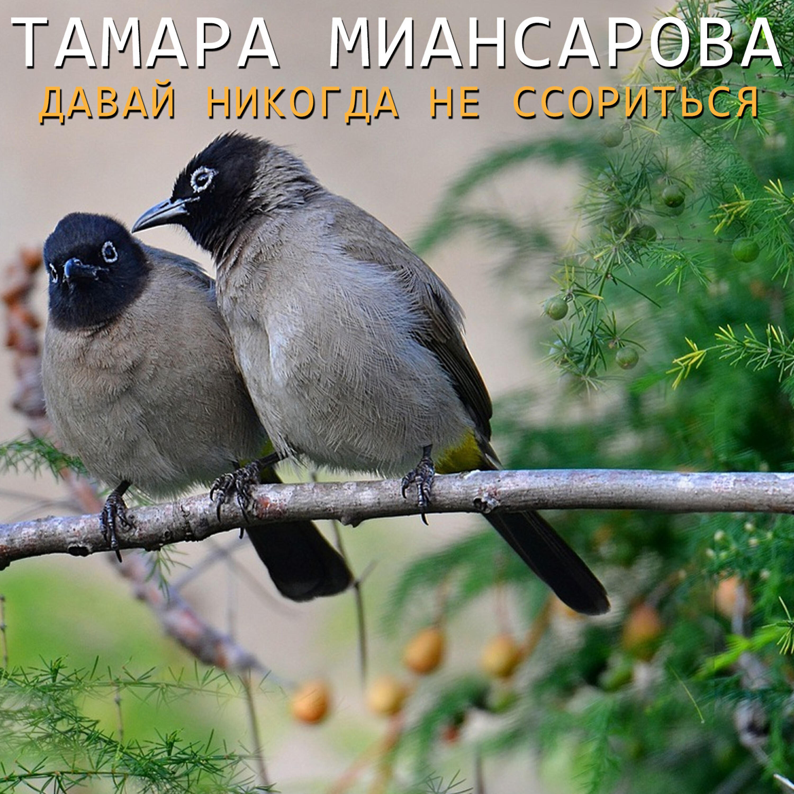 Релиз Давай никогда не ссориться