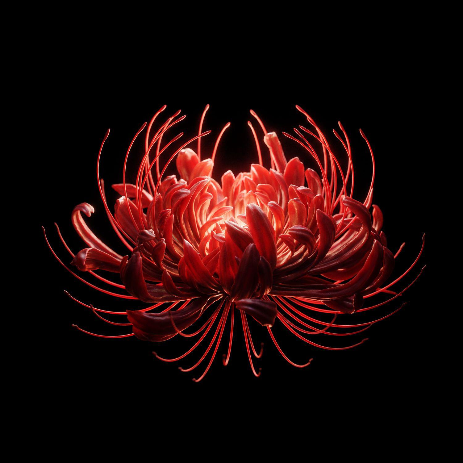 The Limba - С кем ты играешь?