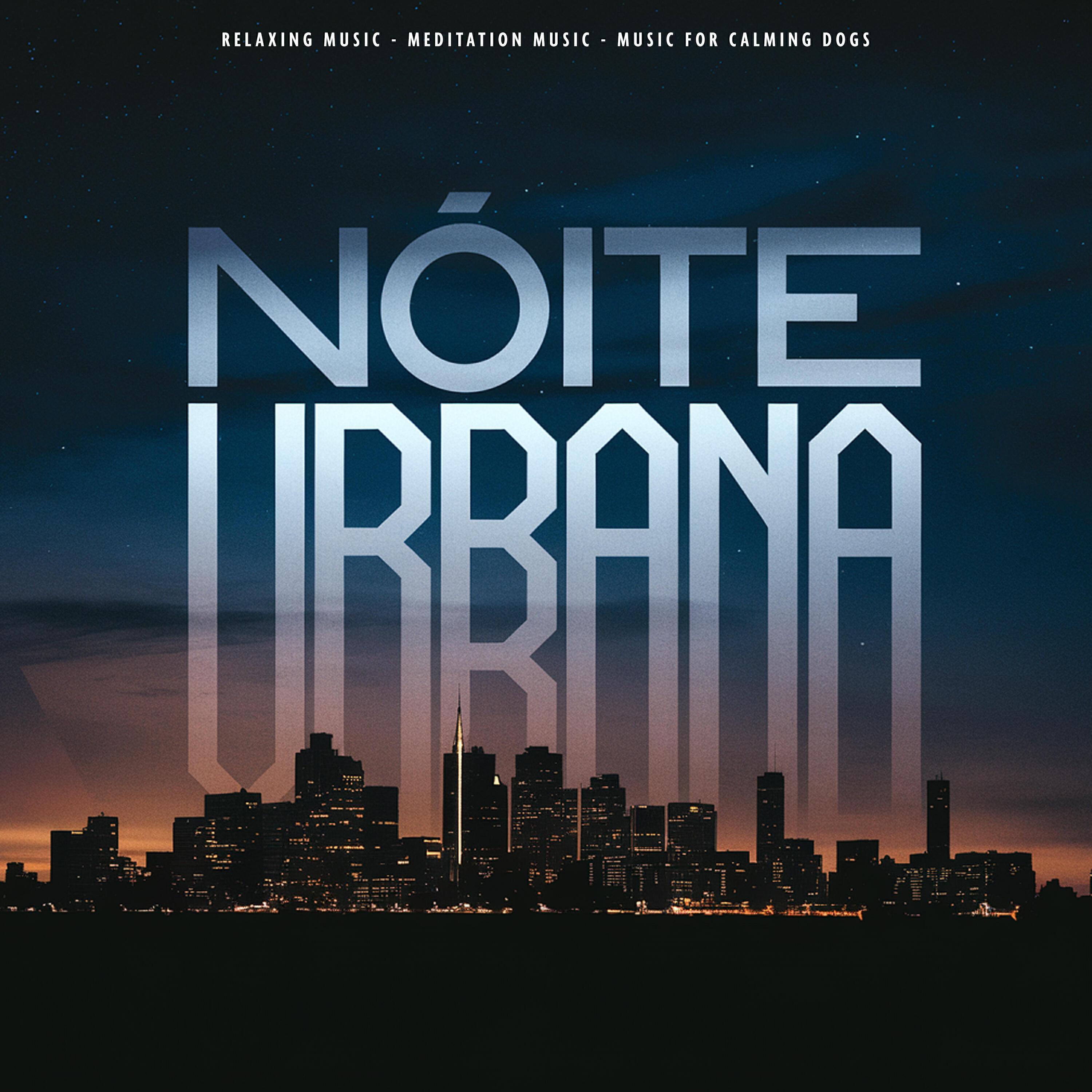 Meditation Music все песни в mp3