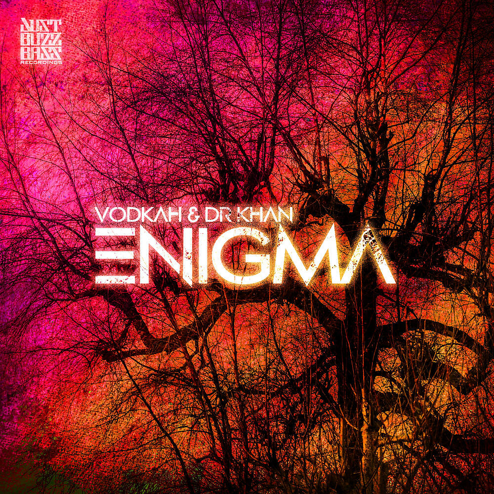 Релиз Enigma