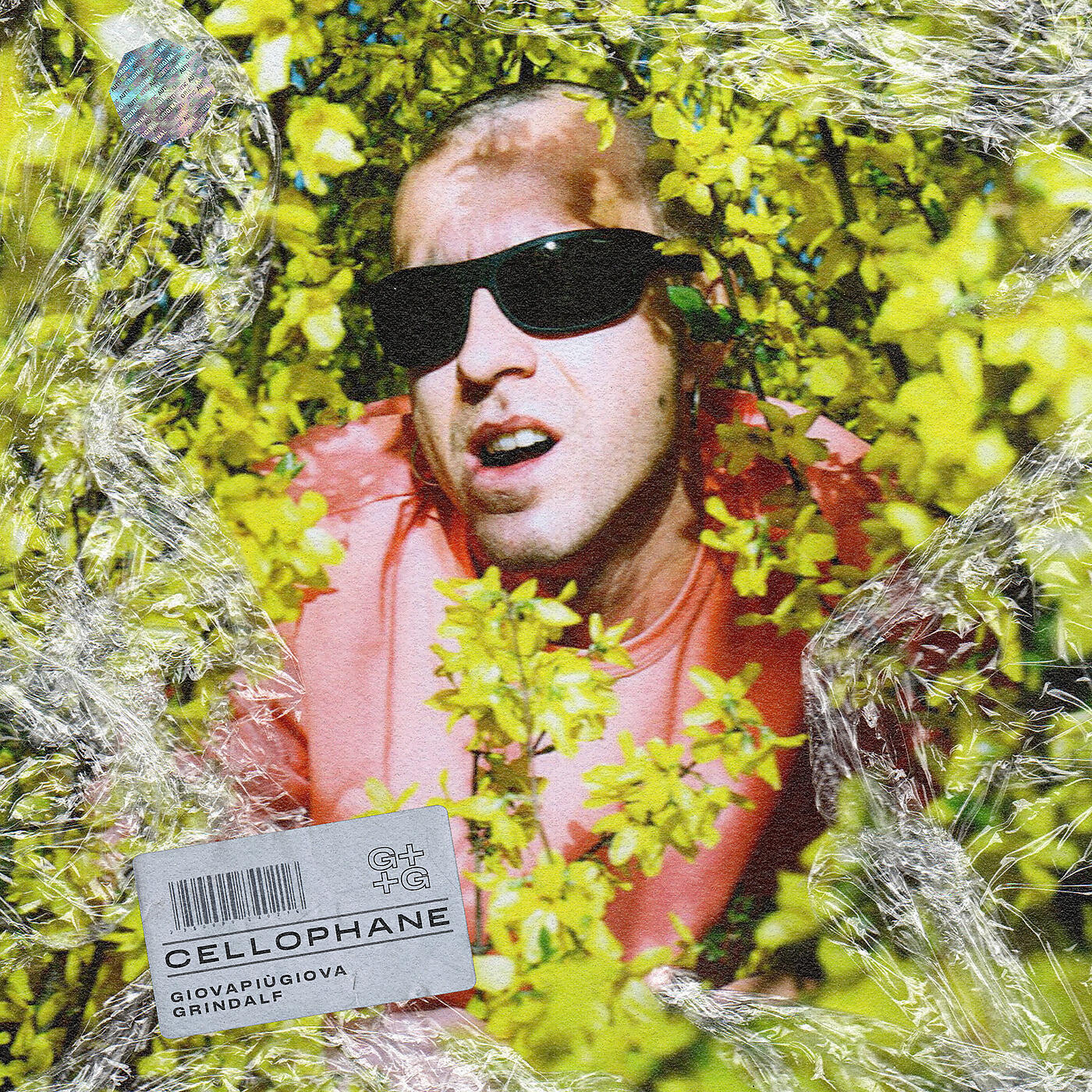 Релиз Cellophane