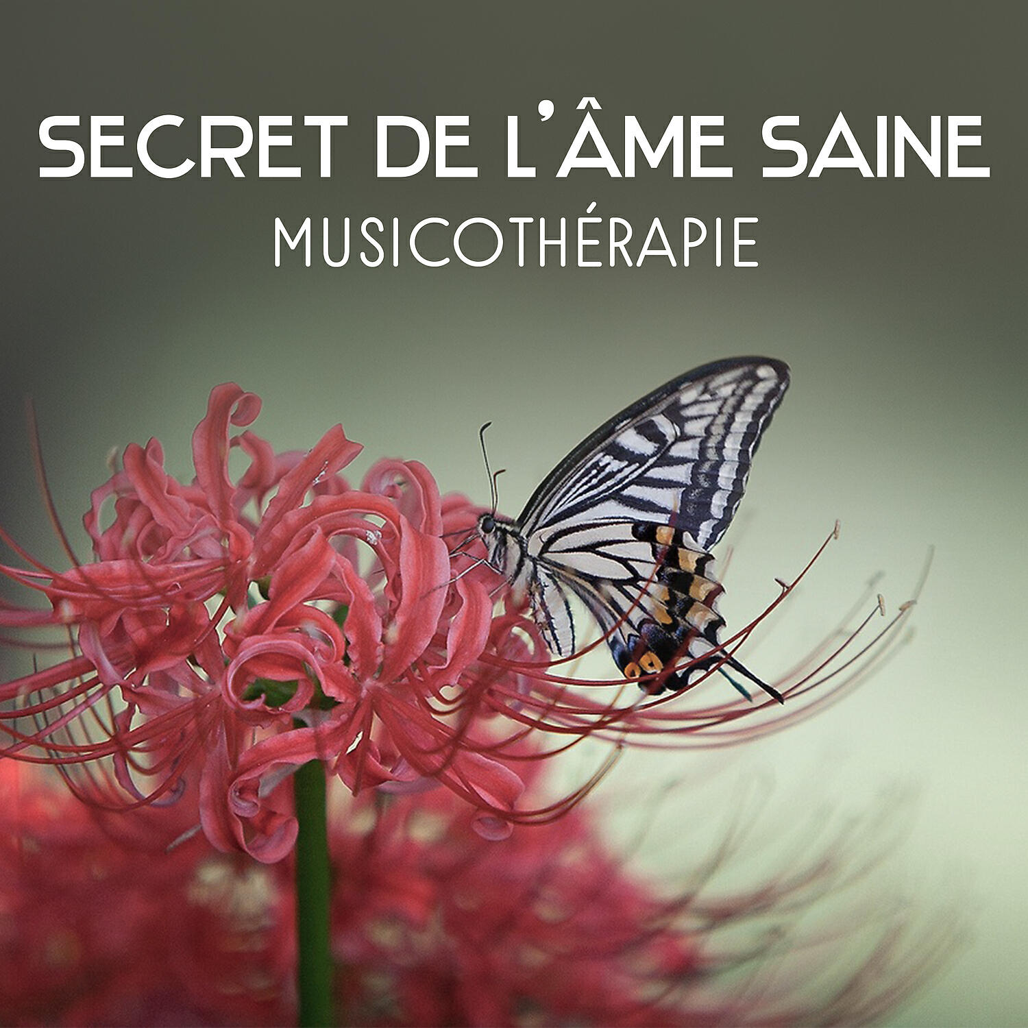Релиз Secret de l'âme saine – Musicothérapie, Se détendre et concentrer, Calmer son stress, Guérison spirituelle, Musique apaisante, Sons de spa