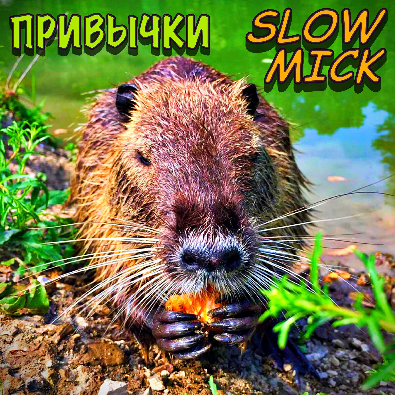 Релиз ПРИВЫЧКИ