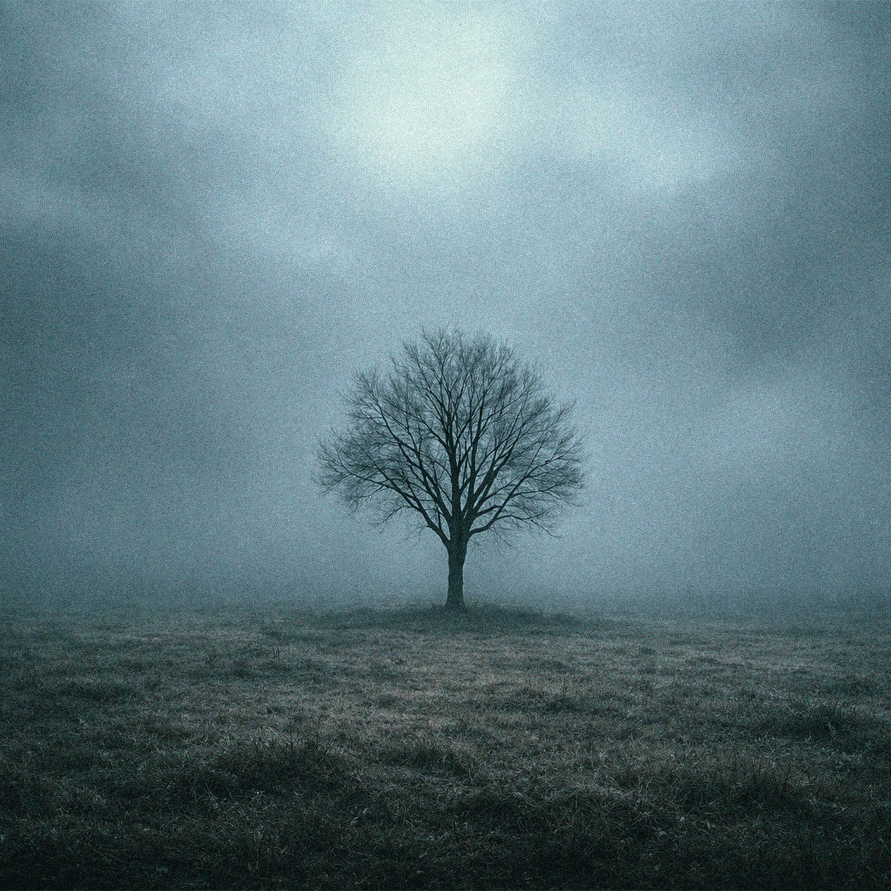 Релиз Gloomthaw