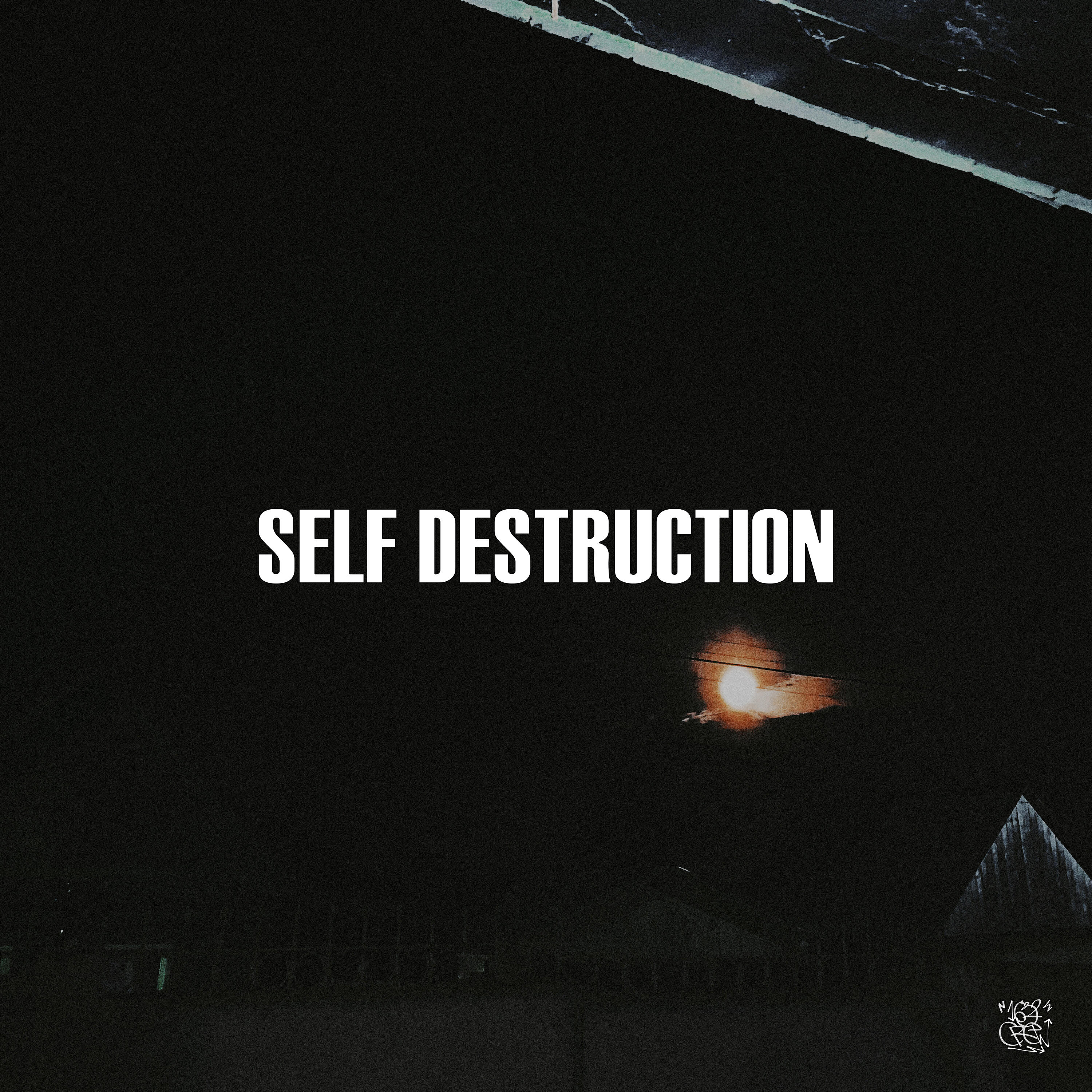 Релиз SELF DESTRUCTION