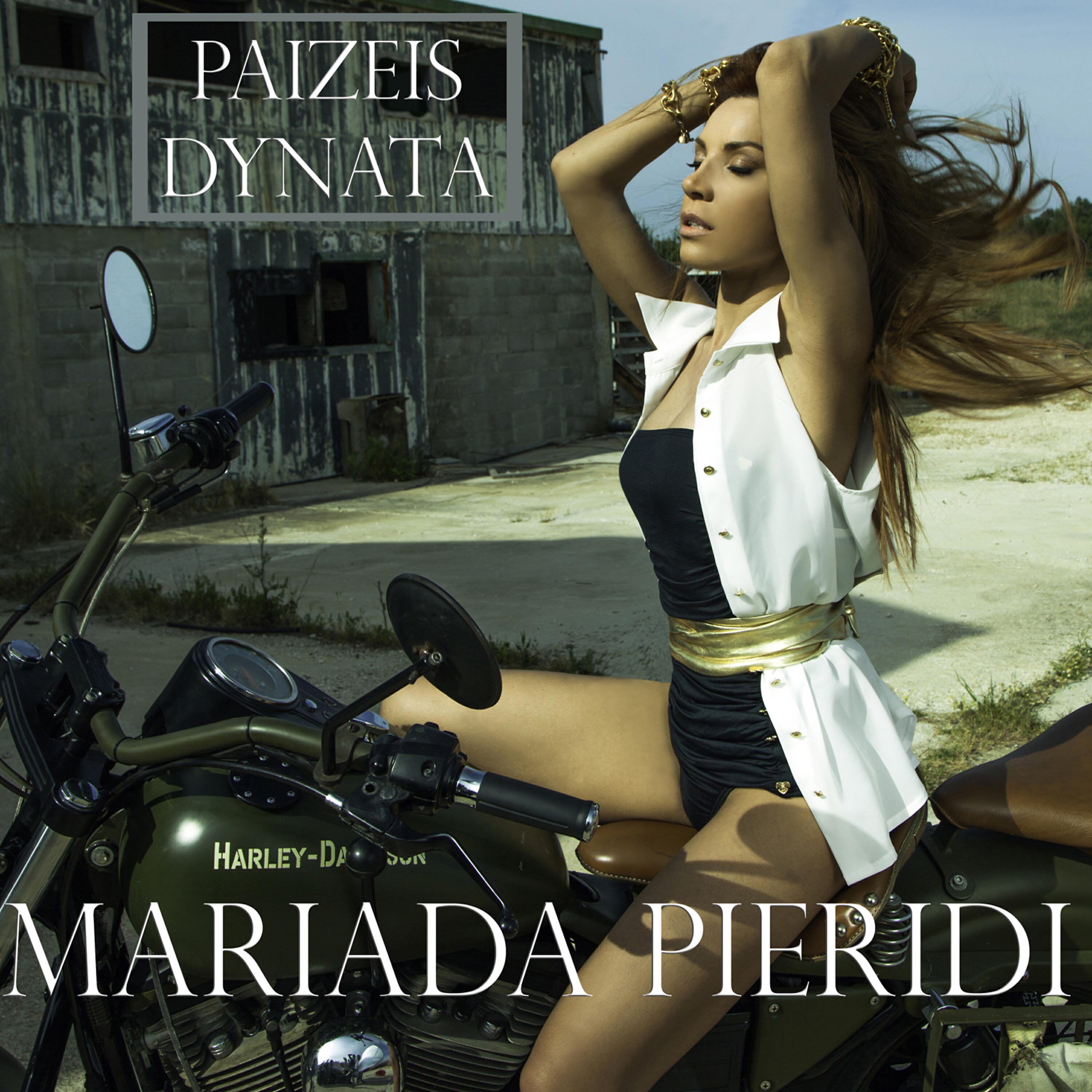 Релиз Paizeis Dynata