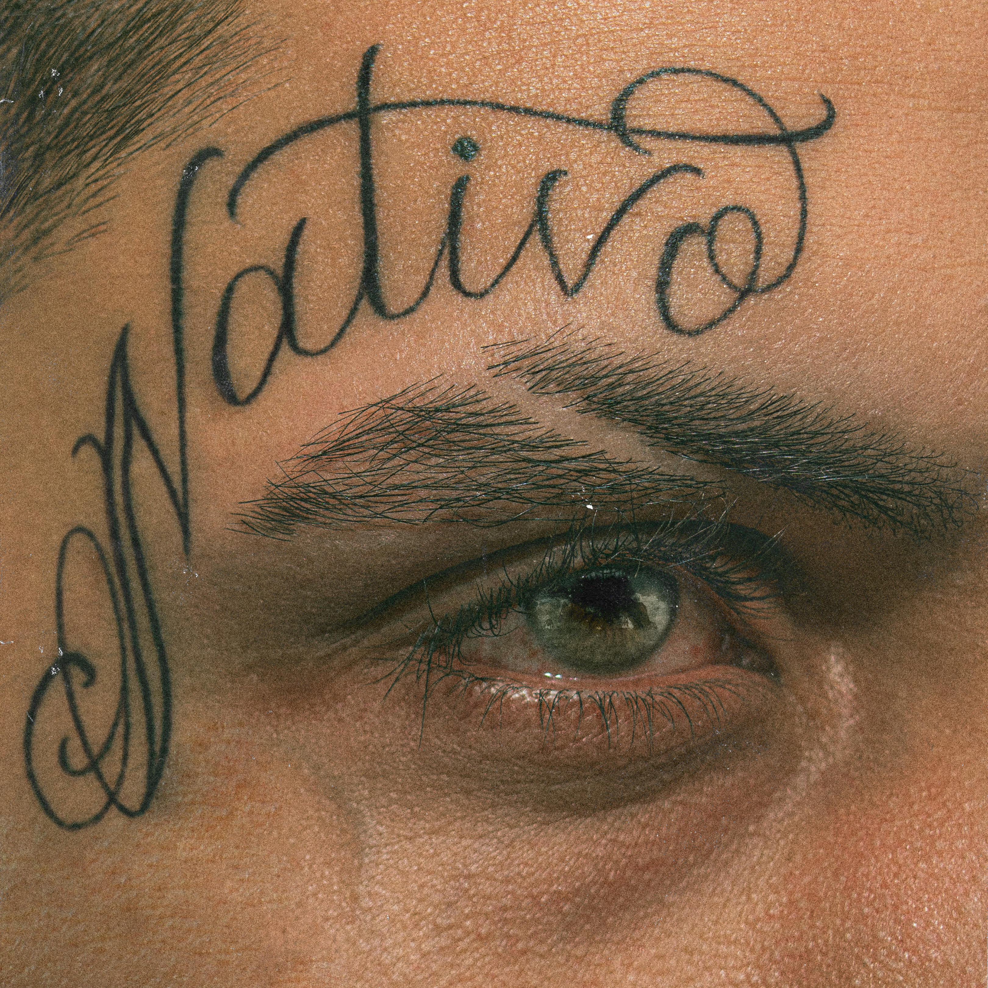 Релиз Nativo